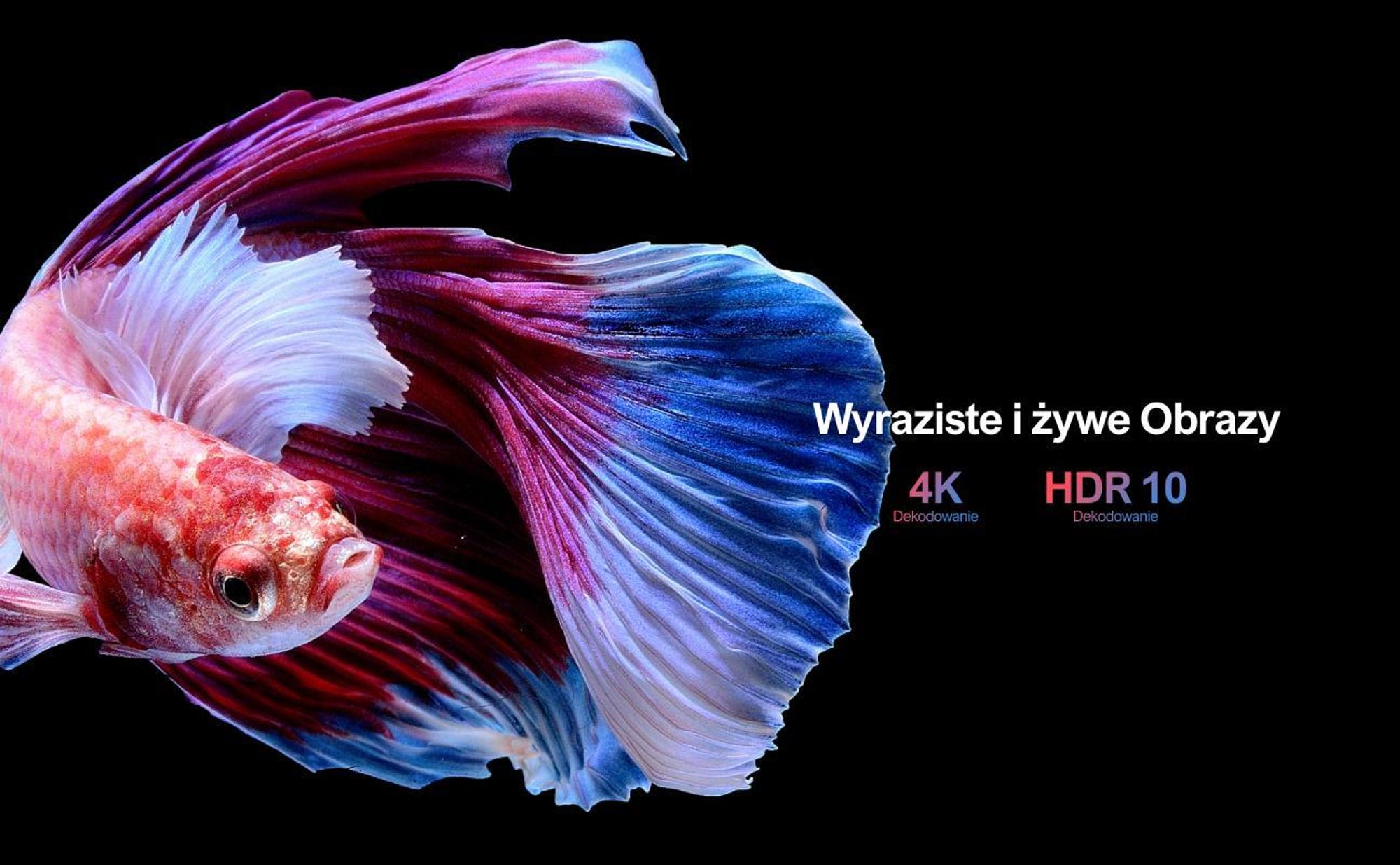 Projektor Ultimea Apollo-P40 obsługujący 4K, zaktualizowana wersja z funkcją unikania przeszkód 700 ANSI, inteligentne wyrównanie ekranu,