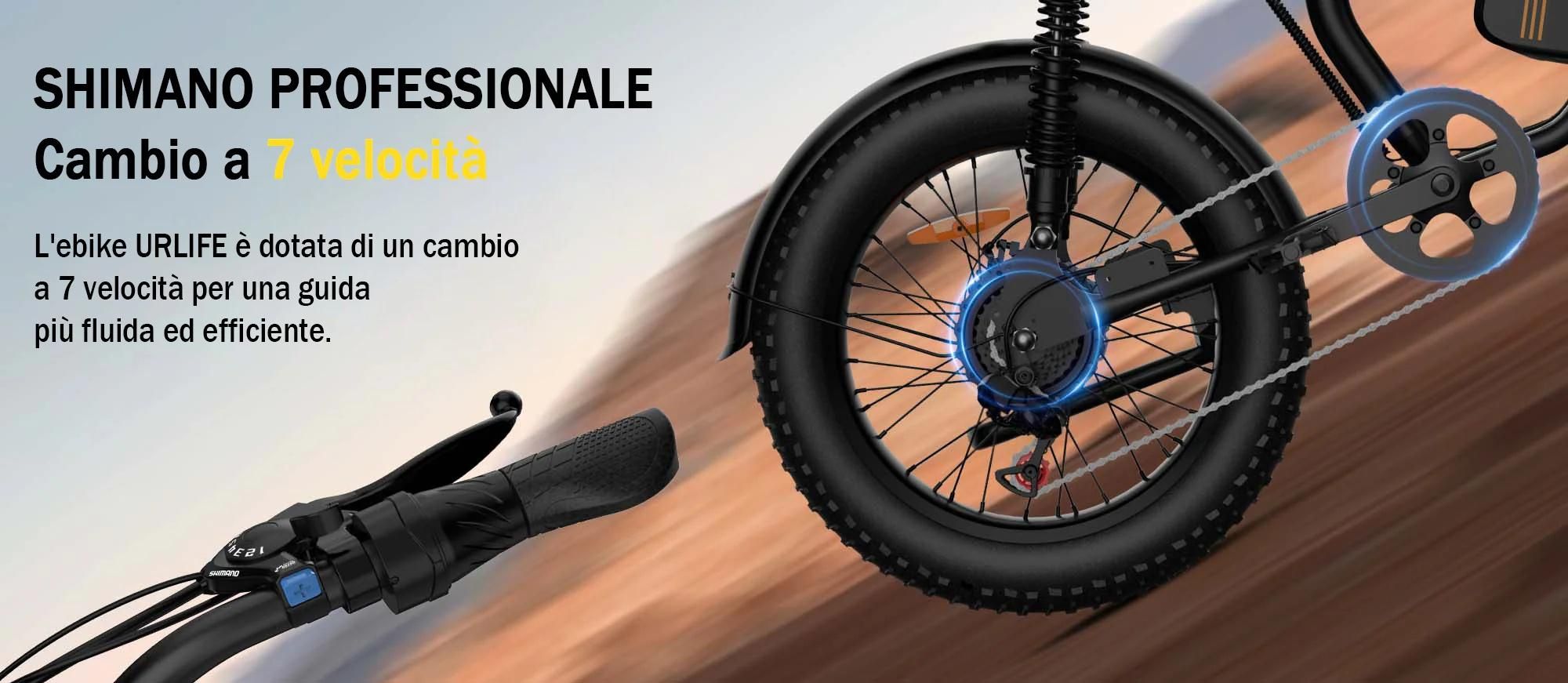 URLIFE T2 E-Bike - Motore 250W Batteria 48V 15.6Ah Freni a disco Trittunterstützung - Nero