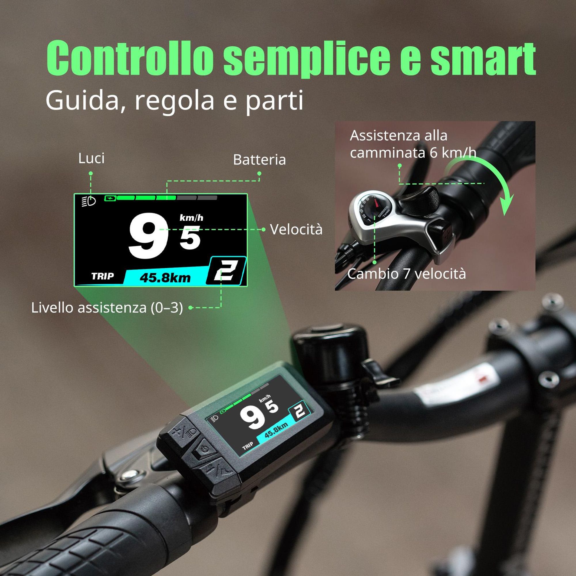 Bicicletta elettrica FAFREES F20 Flex - Motore da 250 W, batteria da 36 V 20 Ah, autonomia 75-100 km, freni a disco meccanici - Grigio canna di fucile