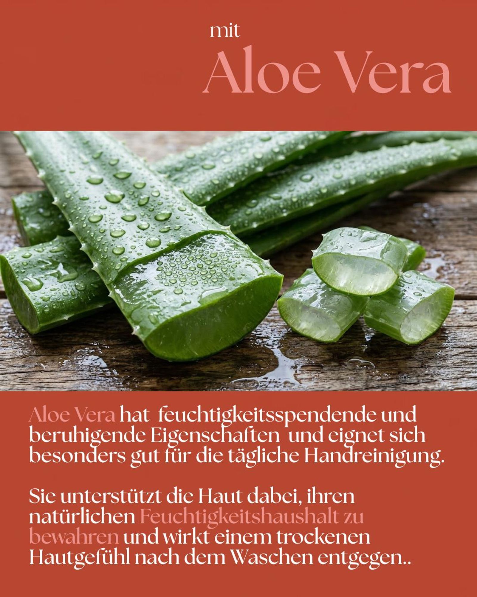 VALENTIN Kosmetik Handseife Mandarine & Jasmin mit Aloe Vera & Milchsäure/AHA 300ml