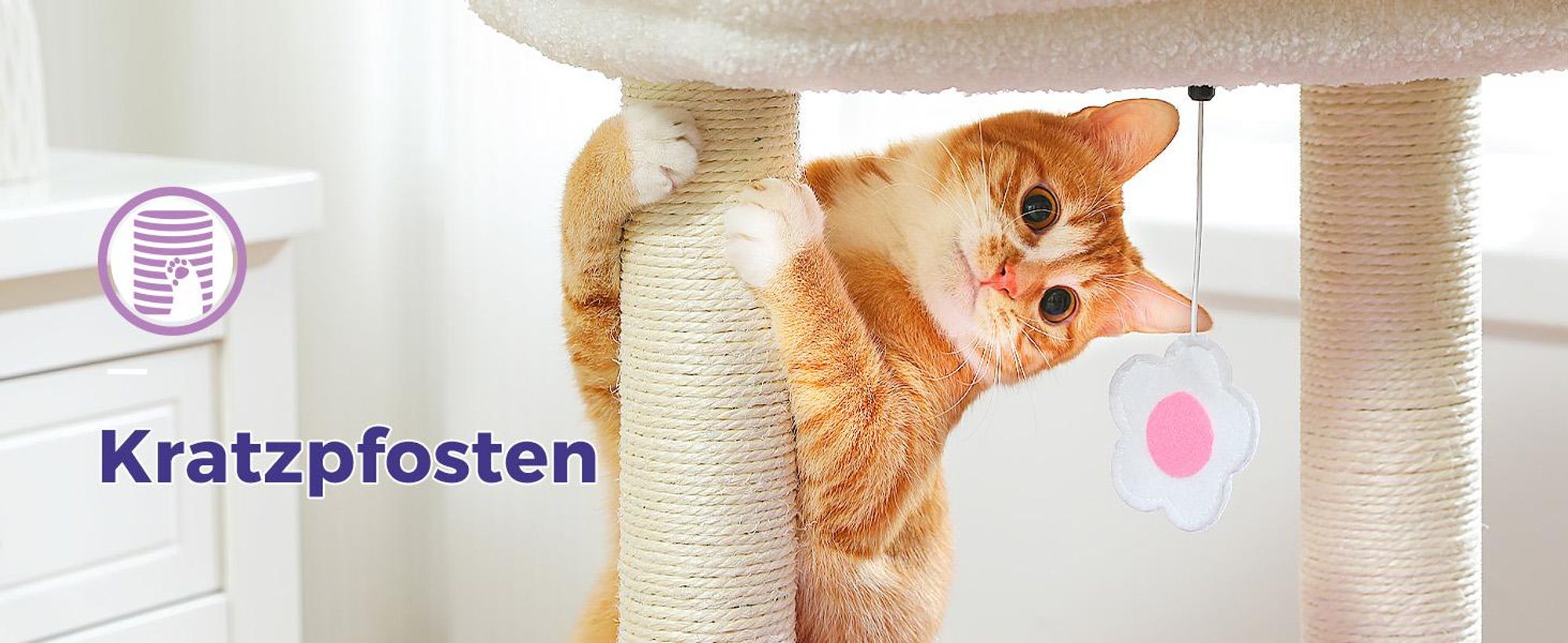 PAWZ Road Kleiner Kratzbaum 70cm Beige