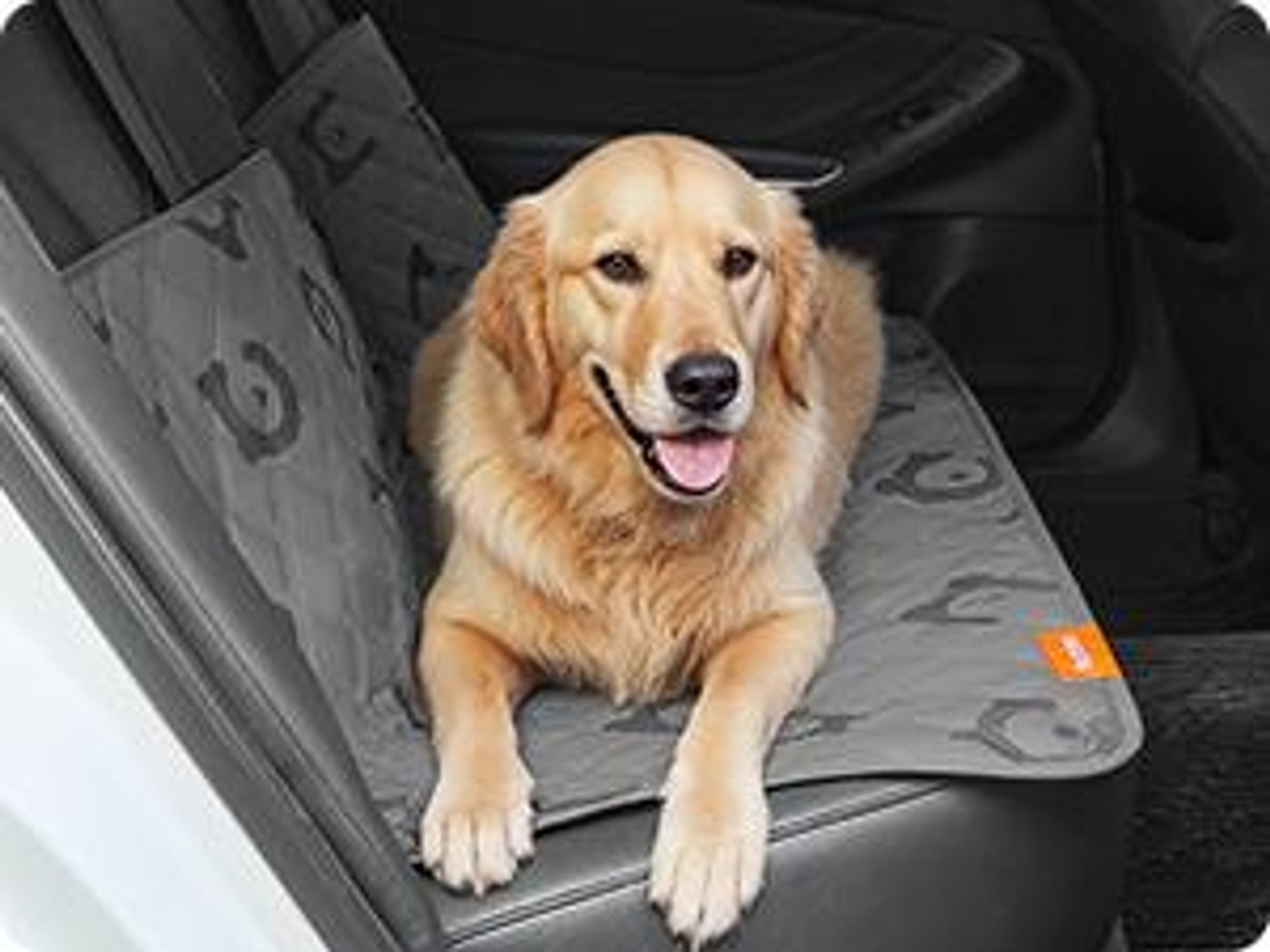 Feandrea Hundedecke, wasserdichte Decke, Sherpa-Stoff, Hundesofa Schutzdecke