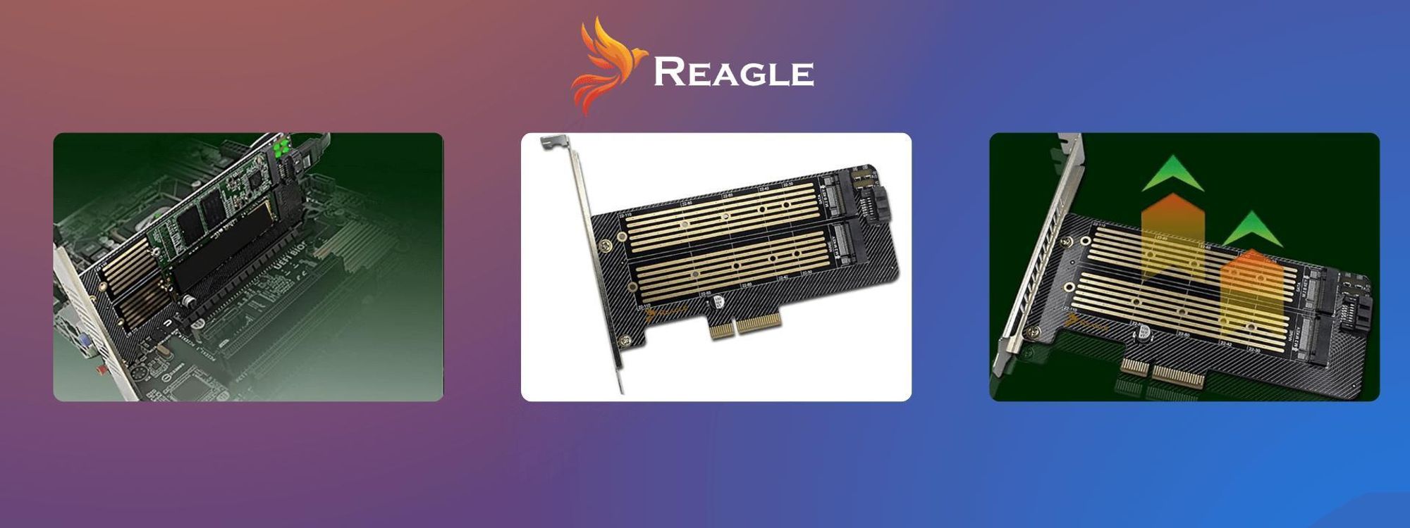M.2 NVMe SATA SSD PCIe Erweiterungskarte Adapter 2in1 64Gbps für 2 Laufwerke gleichzeitig PCIe 4.0 Unterstützung 22110 2280 Windows Mac Linux Reagle
