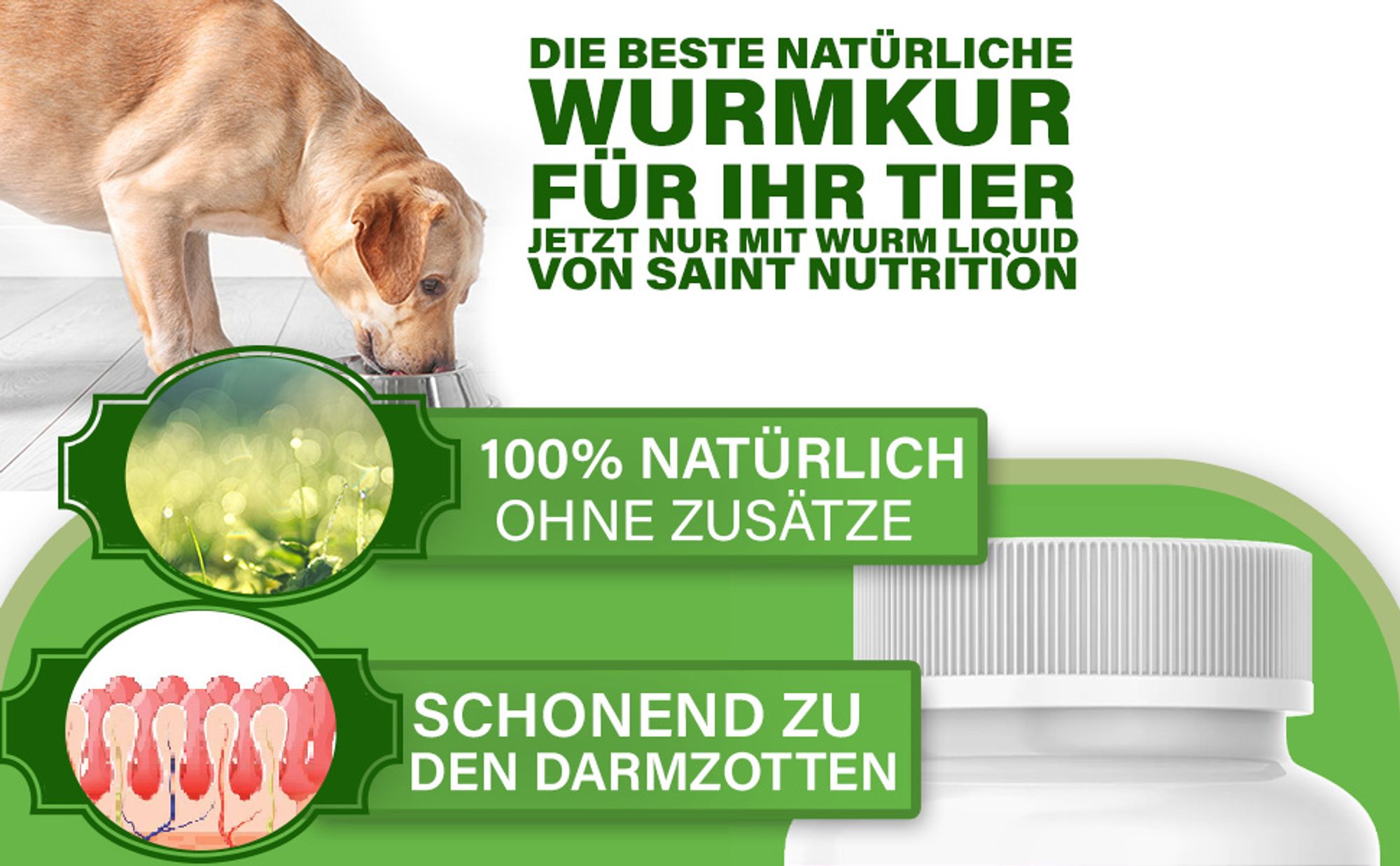 Saint Nutrition® Wurm Tabletten - Wurmmittel Hund - Εntwurmеn für Hunde - mit natürlichen Inhaltsstoffen - Wurmkur - für Hunde und Katzen