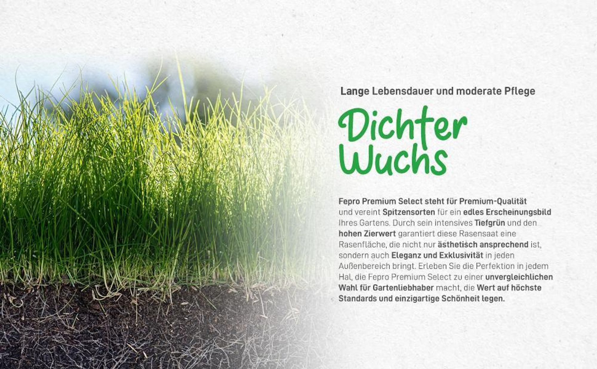 5kg Premium Rasensamen für Profis 200m², Zierrasen Superrasen, besonders dichtwachsend und tiefgrün, ideal für Neuansaat und Nachsaat, Rasensaat Grassamen