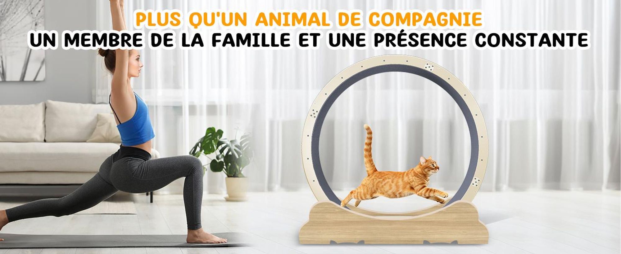 GTPLAYER Roue d'exercice pour chats, roue d'exercice pour chats, extra grande 100 cm, roue d'exercice ultra silencieuse avec tapis et jouets amovibles, autocollants, verrouillage, geeign