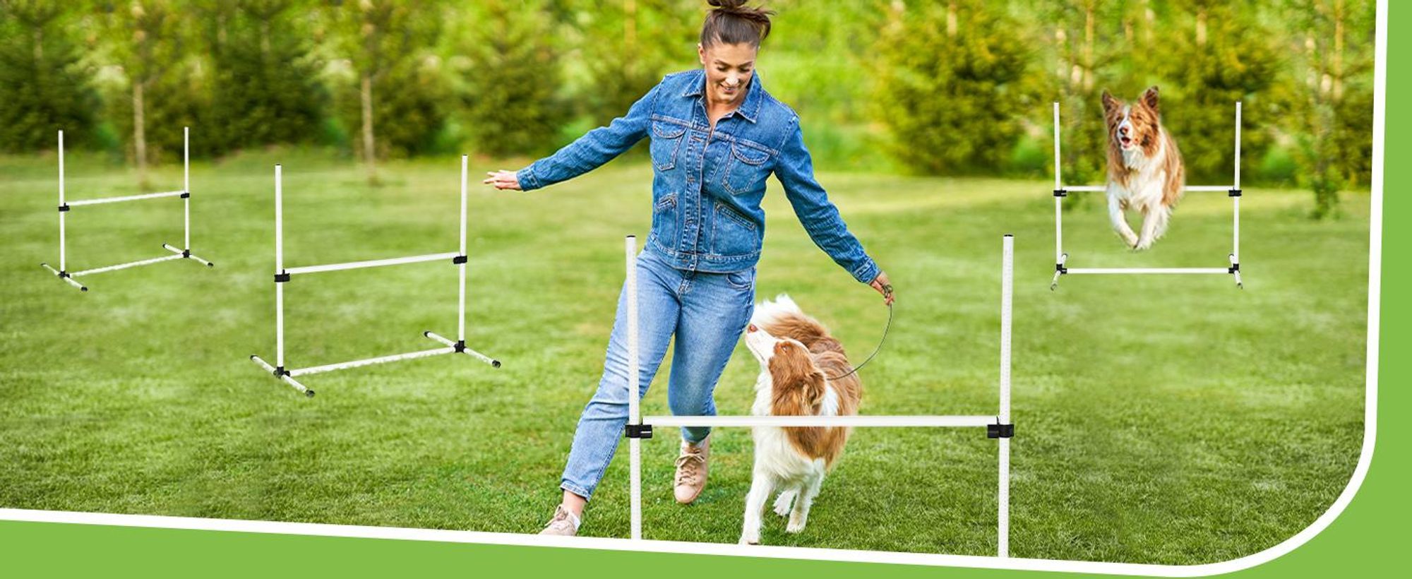 Pawhut Paws zestaw płotków do agility zestaw treningowy dla psa 4x płotki białe