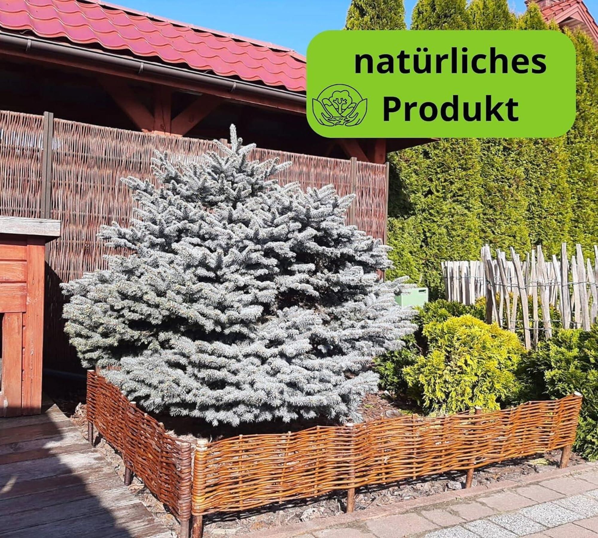 Beetbegrenzung aus Weide ( H 20 x B 120 cm 5 Stück) Palisade aus Weide, Beeteinfassung Weide in Vielen Größen, Natürlicher Weidenzaun