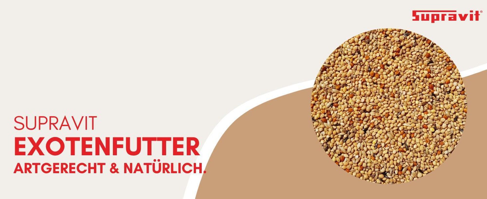 Produkt auf grafischem Hintergrund