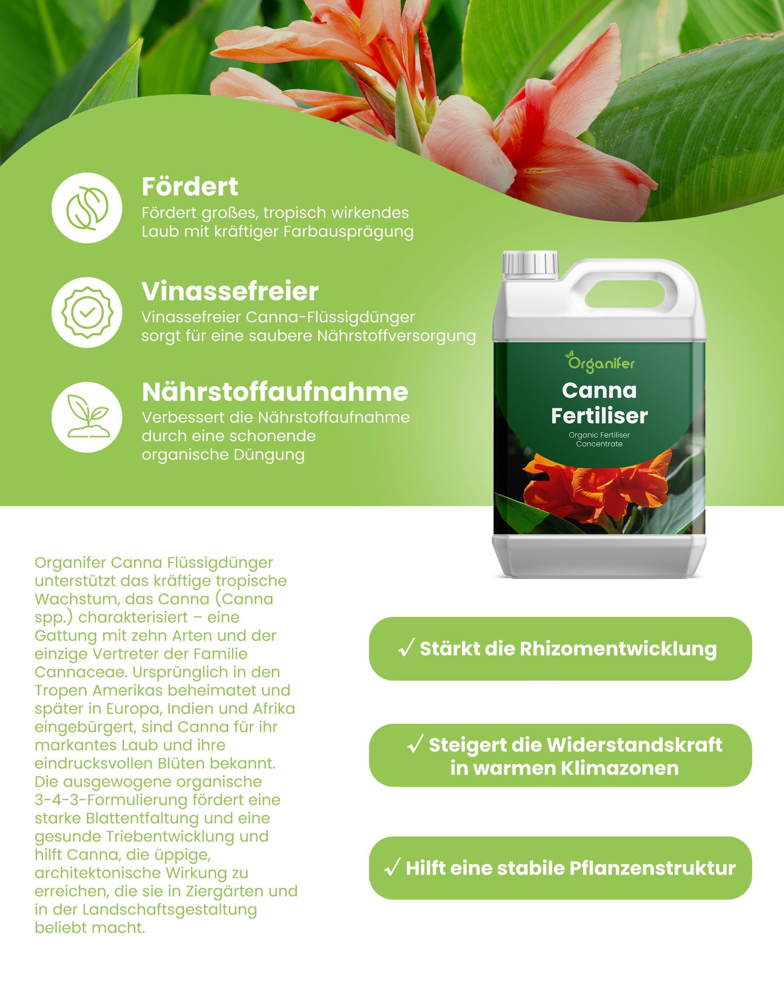 Canna Flüssigdünger 1L – 3-4-3 NPK - Flüssigdünger Für Blühpflanzen – Für Üppige Blätter & Kräftige Blüten – Fördert Wurzeln & Vitalität – Organifer