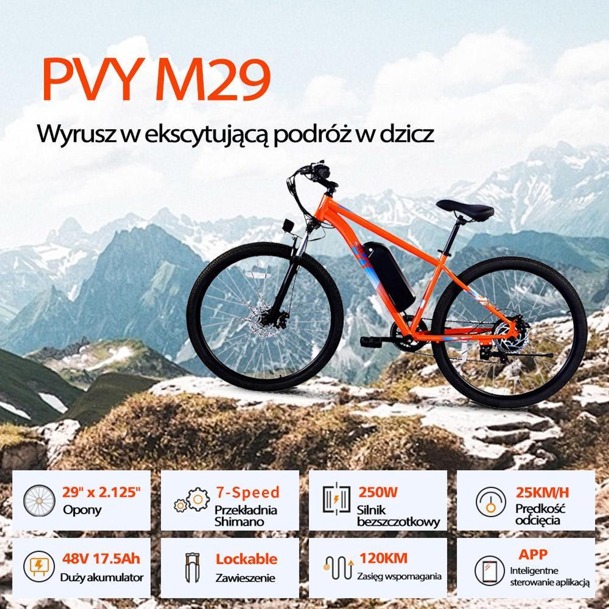 PVY M29 Rower Elektryczny - Moc 250W Baterią 48V17.5Ah koła 29" Mechanicznymi Hamulcami - Szary