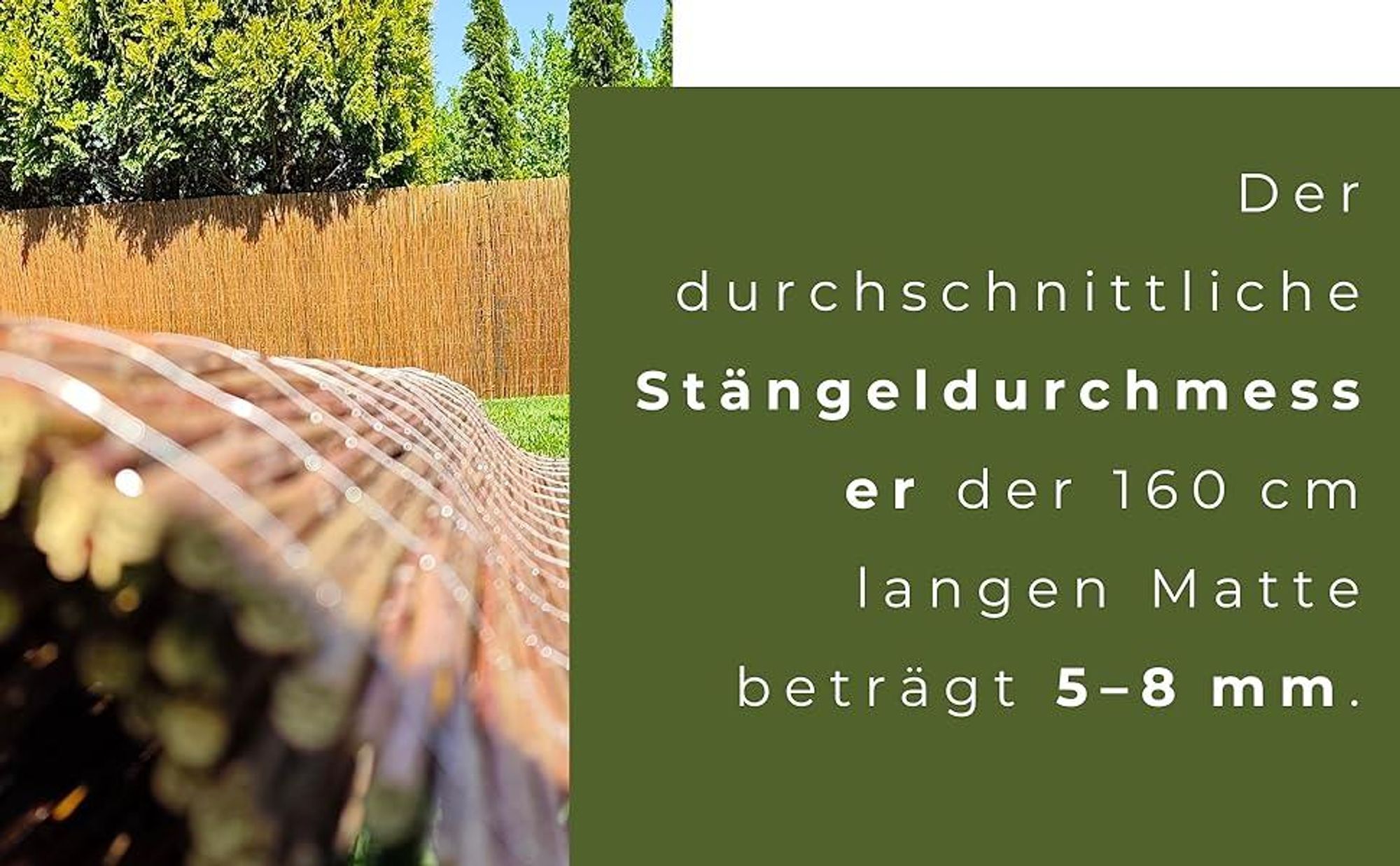 Weidenmatte 160 x 500 cm - Balkon Sichtschutz - Zaun Garten aus Holz - Sichtschutz Garten - Windschutz & Sonnenschutz - Schattenspender - 100% Natural