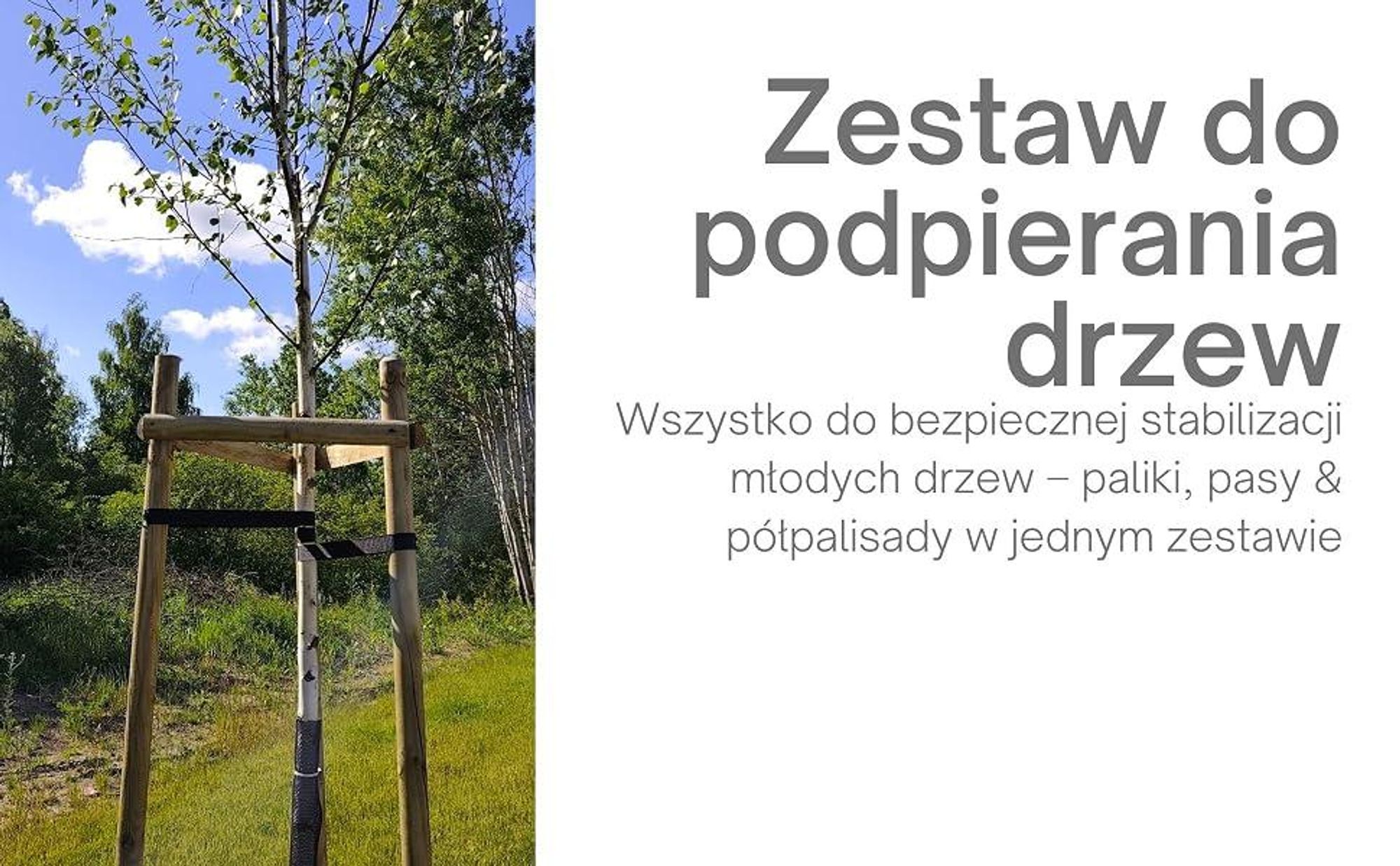 TIMBERMIK Podpory do Drzew 3x Palisada 220 cm Ø7 cm + 6x Półpalisada 60 cm + 3x Taśma 80 cm