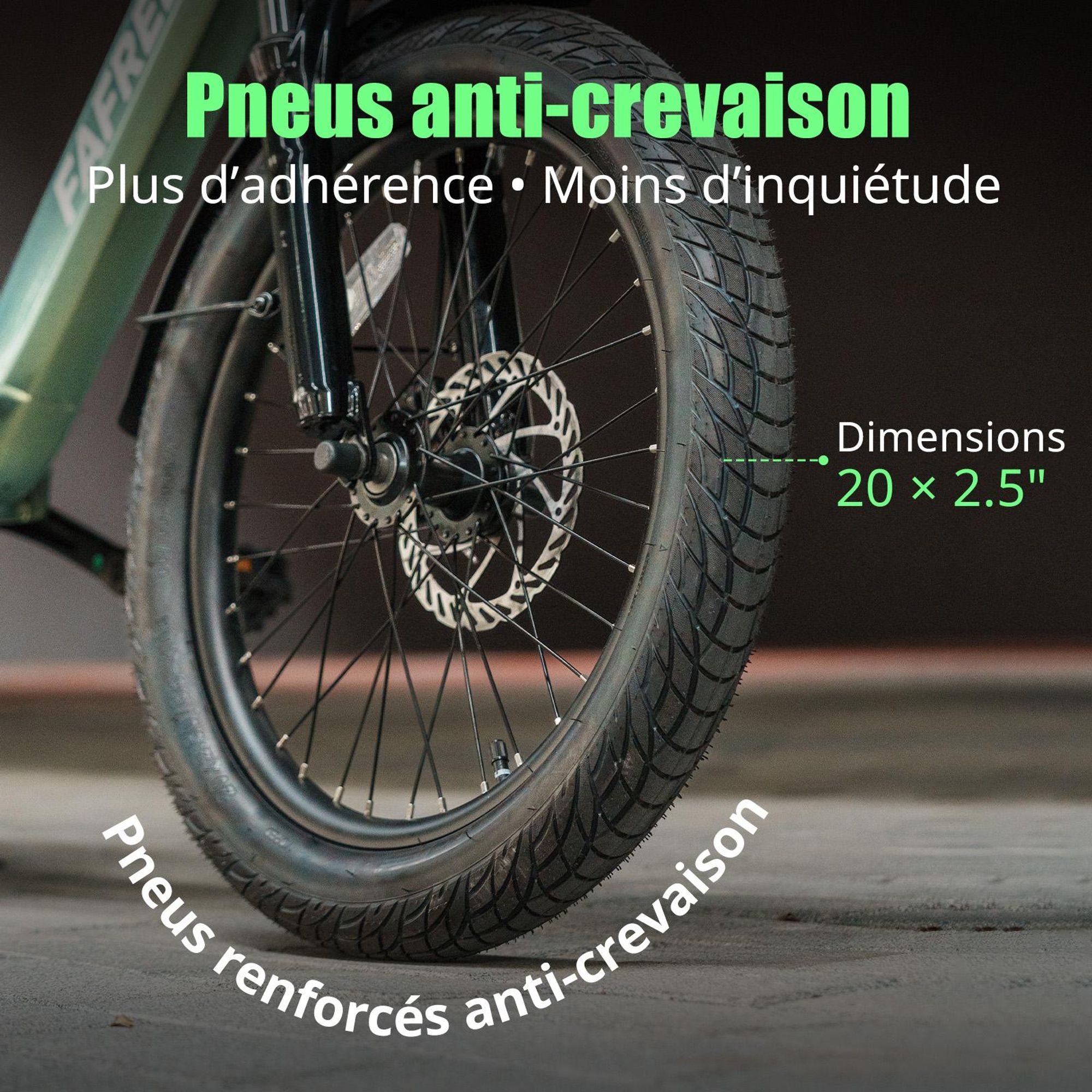 Vélo électrique flexible FAFREES F20 - Moteur 250 W, batterie 36 V 20 Ah, autonomie de 75 à 100 km, freins à disque mécaniques - Noir anthracite