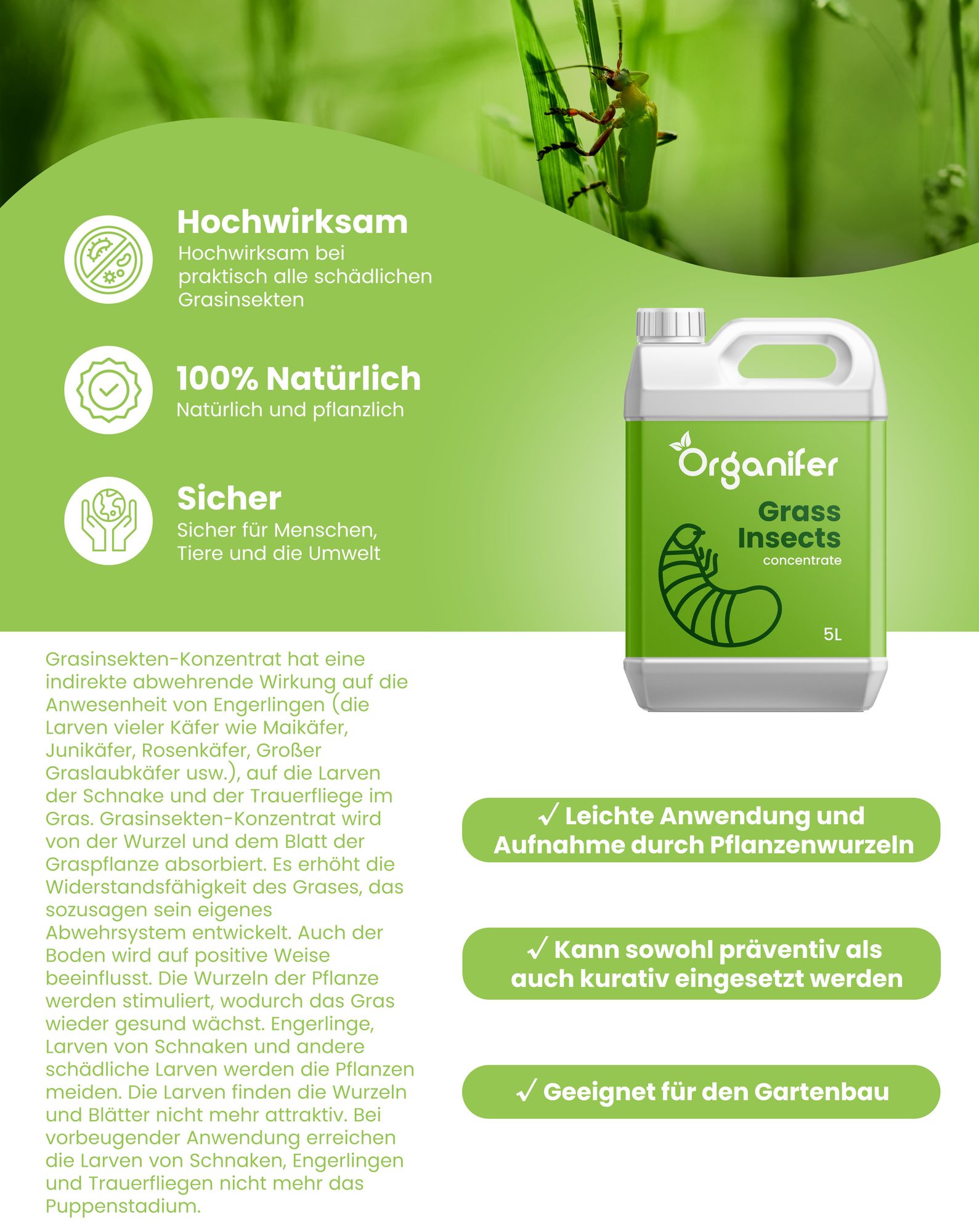 Grasinsekten-Konzentrat - 10 liter für 2.500 m2- Organifer