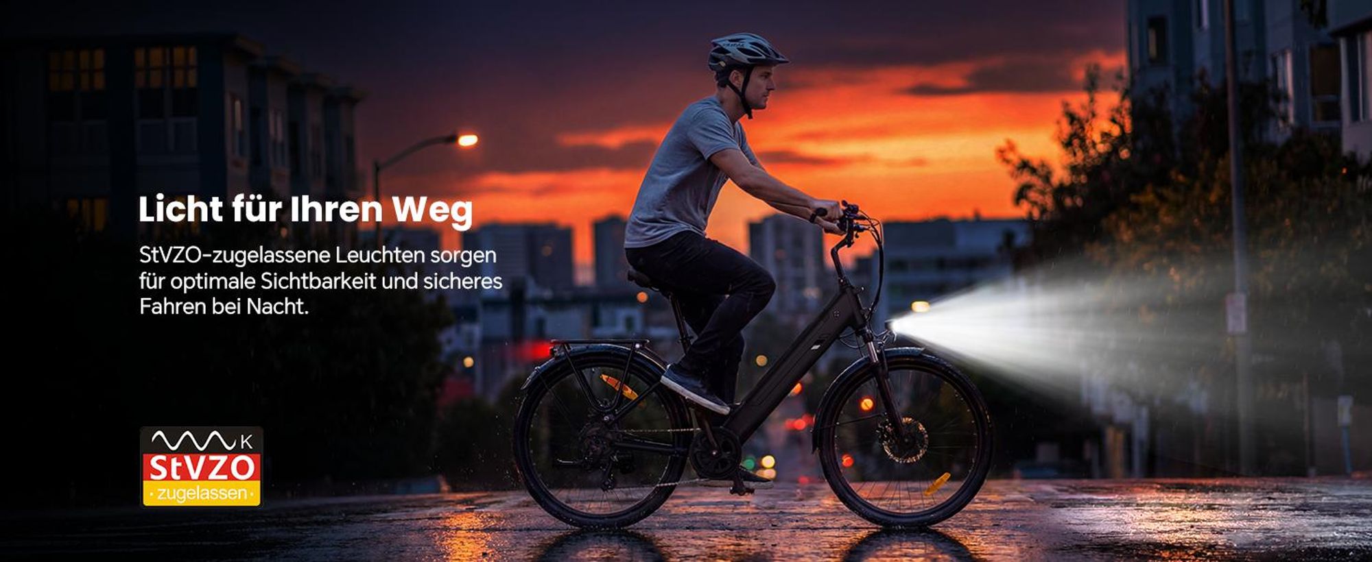 Touroll J2 ST Pro E-Bike Tiefeinsteiger mit 250W Motor, 100km Reichweite, Hydraulikbremsen, Shimano 7-Gang