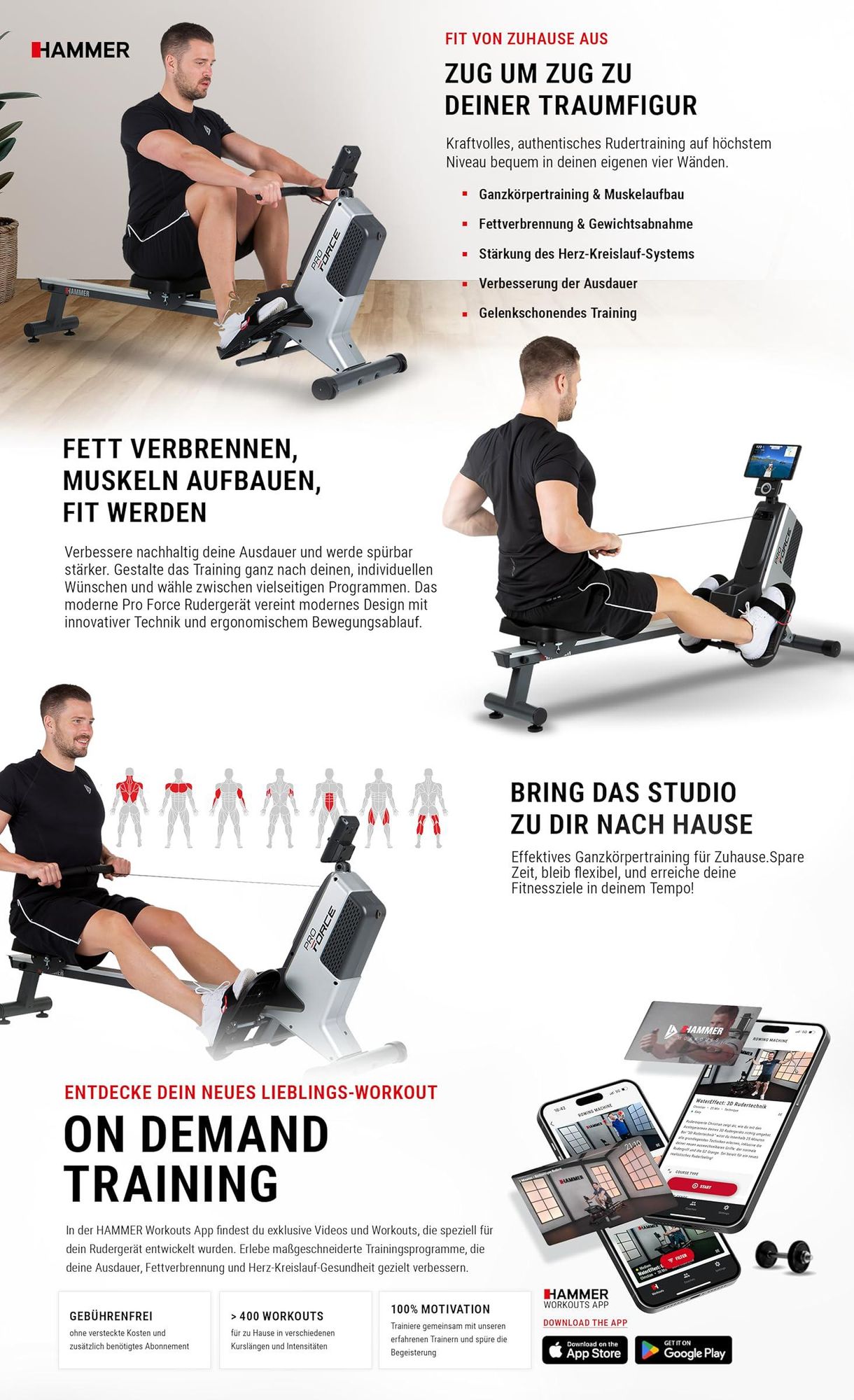 HAMMER Rudergerät Pro Force, 20 Programme, bis 120 kg Nutzergewicht