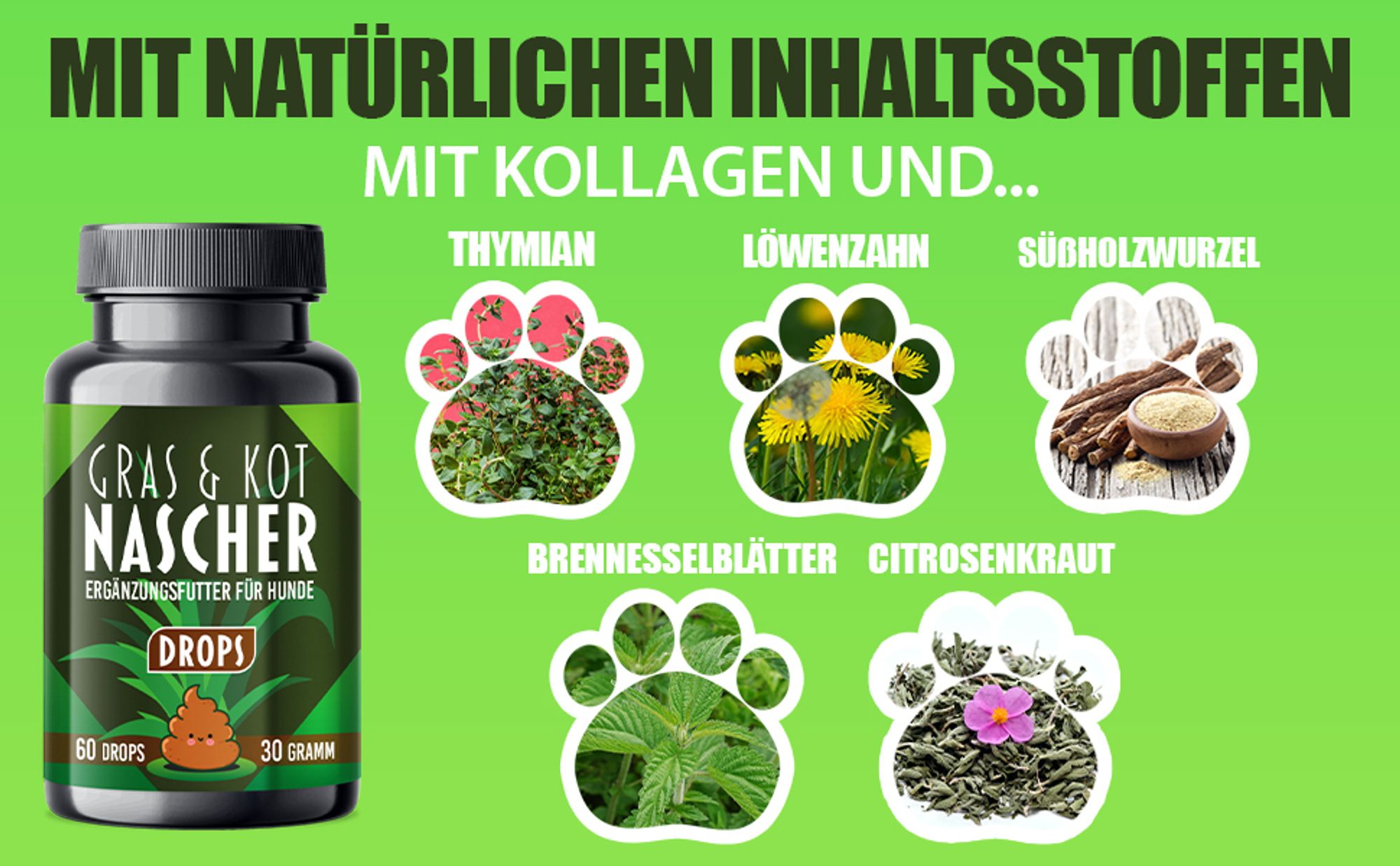 Saint Nutrition® Gras + Kot Nascher Leckerlis für Hunde – Für ein bessere Verdauung – und einen gesunden Magen - Darm Trakt - Verdauungsleckerli