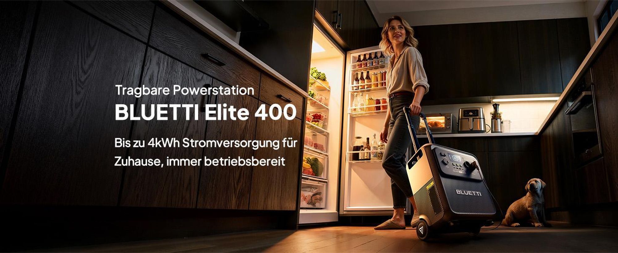 BLUETTI Elite 400 Solargenerator mit 500W Solarpanel, 3840Wh LiFePO4 Batterie , Notstrom Akku mit hoher Kapazität und Rollen für Zuhause, Wohnmobile