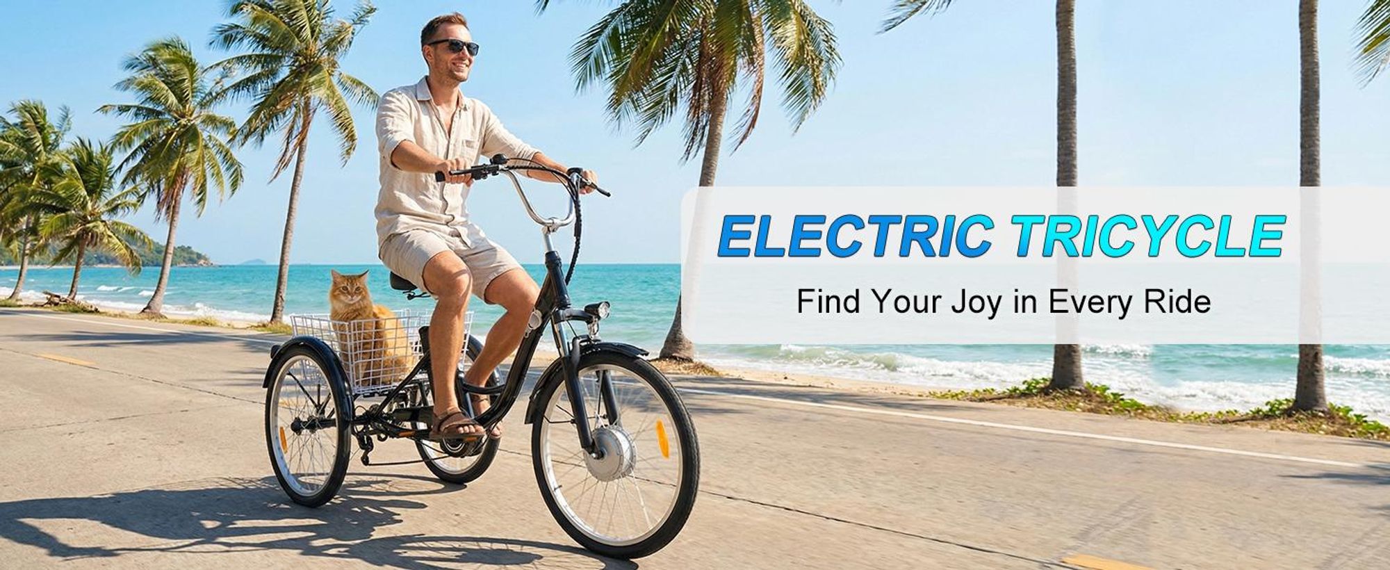 GF100 Elektrisches Dreirad, 36V,18AH,250W, 24-Zoll-Reifen, Vorderradfederung, 150 kg Traglast
