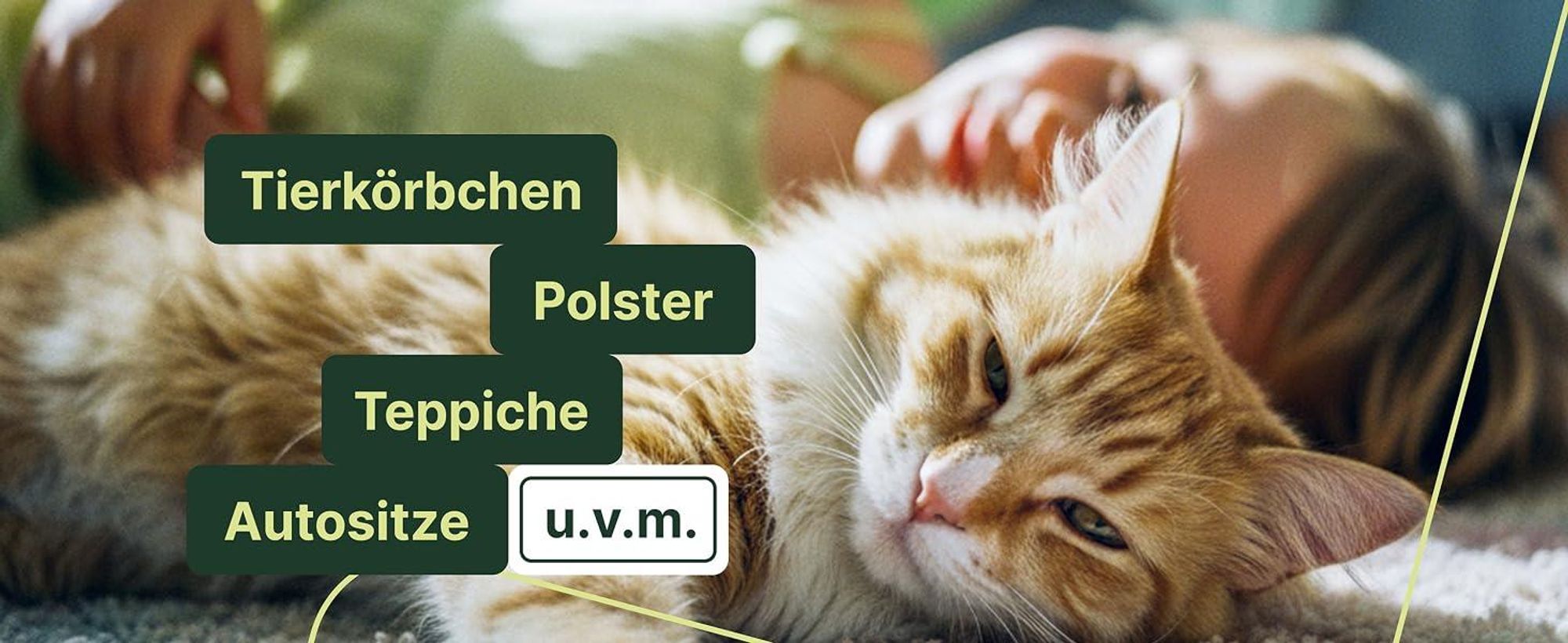 Getigerte Katze liegt entspannt auf Teppich, geeignet für Polster, Körbchen und Sitze.