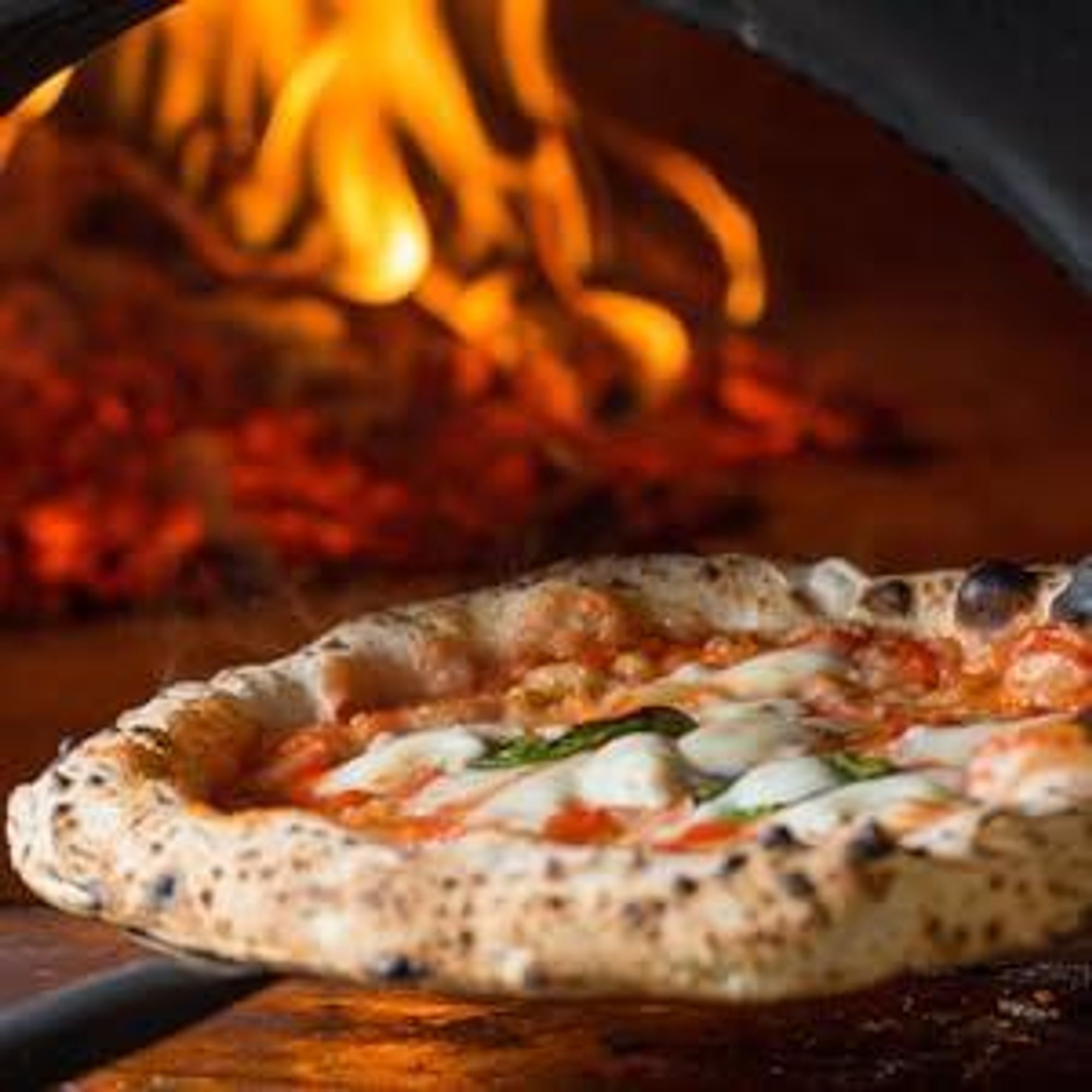 10 kg Öko Kaminanzünder Holzwolle – 8–10 Min Brenndauer | Grillanzünder Naturwachs – Feniks
