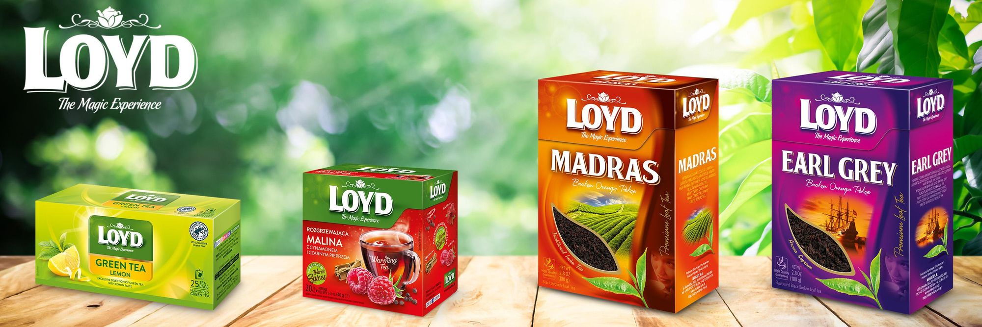 Loyd Earl Grey - 80 Torebek Herbata Czarna Ekspresowa Duże Opakowanie Premium