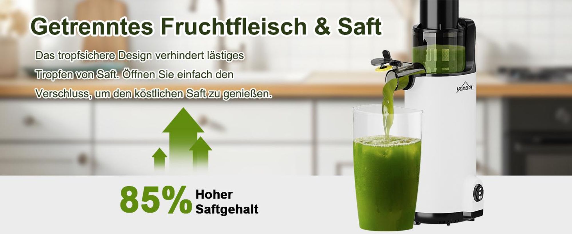 HOMELUX Slow Juicer Kleiner Entsafter Sicherheitsverriegelung, Mini, kompakt , 120 W , Geräuscharm, mit 2 Tassen, Reinigungsbürste, Grau