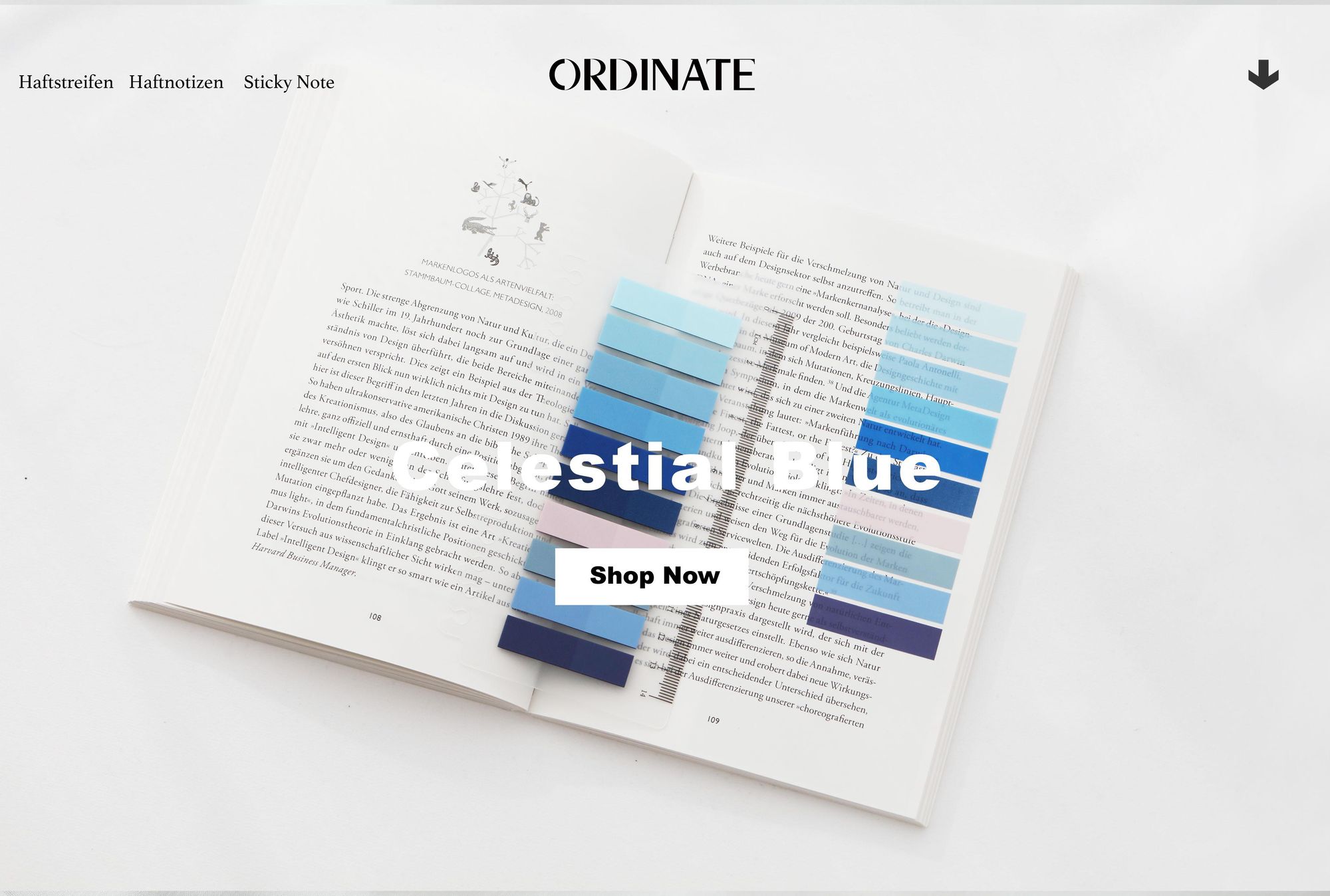 Ordinate-Celestial Blue | 200 Stück Haftstreifen | Transparente Haftnotizen | sticky notes | Index Tabs