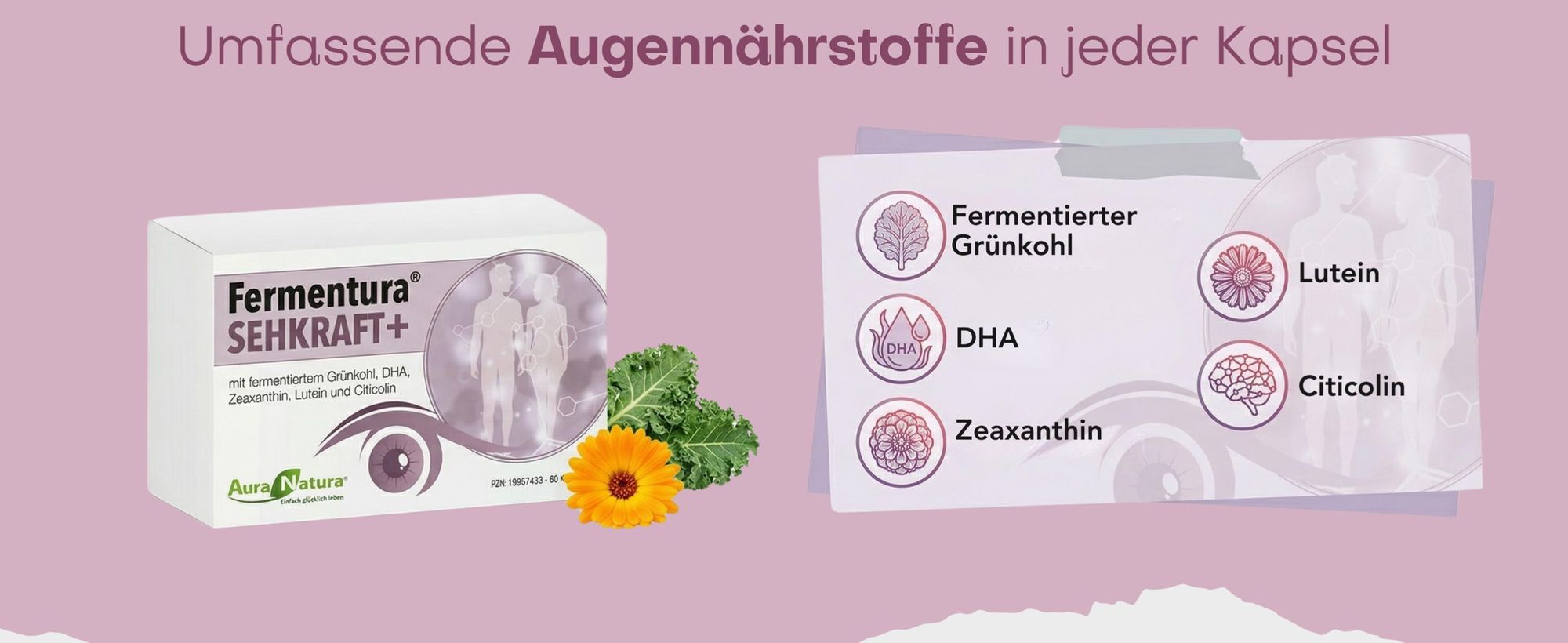 Auranatura Fermentura Sehkraft Kapseln 60 St