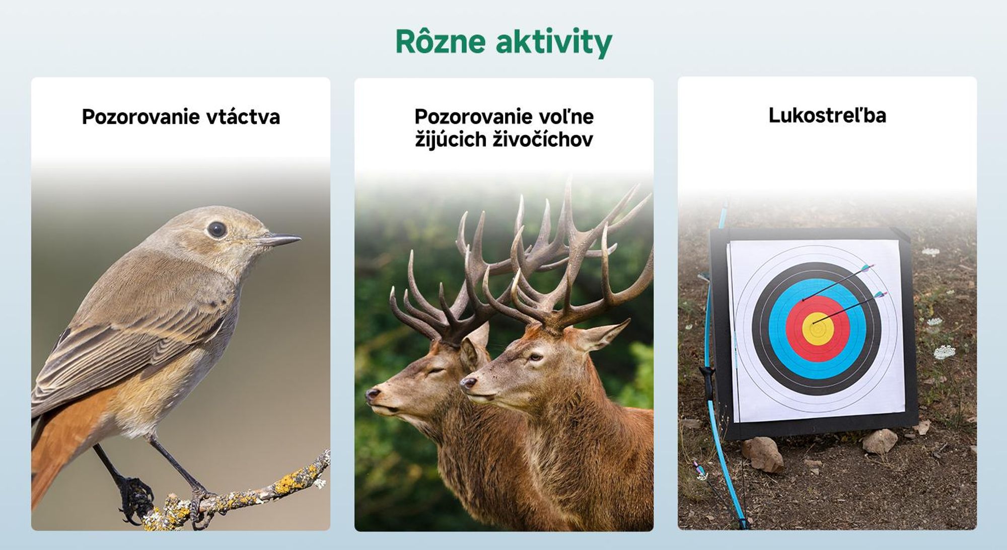 Svbony SV28 25-75x100mm pozorovací ďalekohľad, veľké zorné pole, H-K9L Porro Prism FMC, ďalekohľad s adaptérom pre mobilný telefón a puzdrom na statív