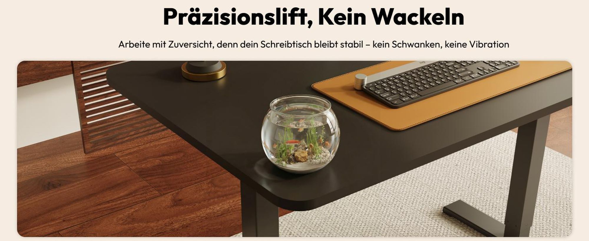 SANODESK QS1 Höhenverstellbarer Schreibtisch Elektrisch EINTEILIGE TISCHPLATTE, 4 Speicherplätzen, Haken & Kabelmanagement, 120x60cm (Schwarz)