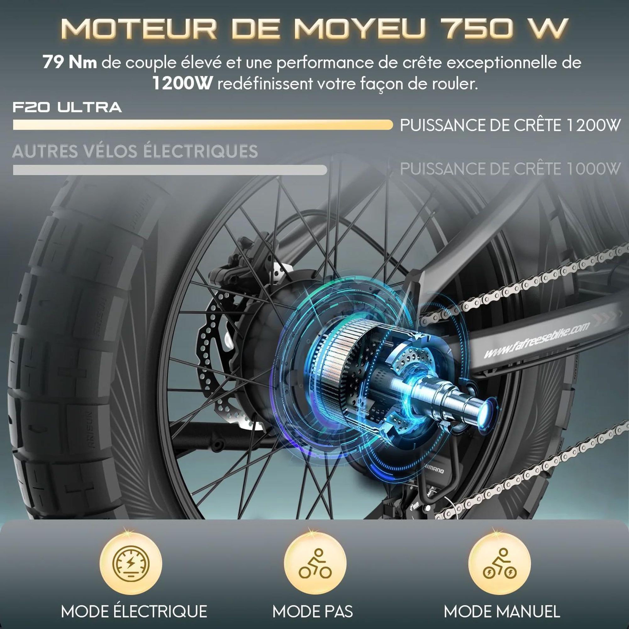Vélo électrique FAFREES F20 Ultra (Homologation UE L1e-B) - batterie 48V25Ah pneu large 20 pouces Freins hydrauliques - Noir