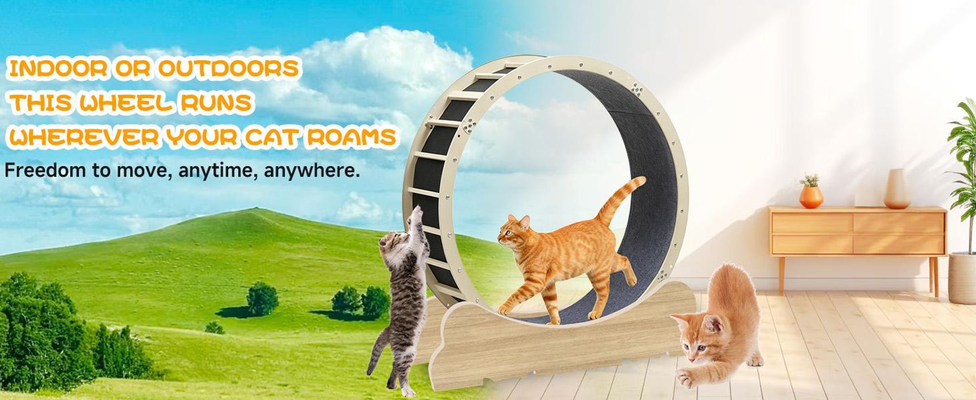 GTPLAYER looprad voor katten, extra groot (100 cm), ultralstil looprad met afneembaar tapijt en speelgoed, stickers, vergrendeling, geschikt voor