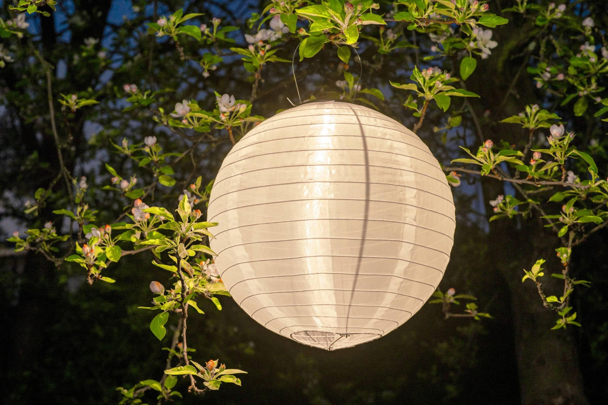 LUMILED Solar Lampions Außen, 4x wetterfest Solarlaterne Laterne, Ø20cm LED Lampion Solarleuchte IP44 Kugel weiß Hängend Dekorative wetterfest