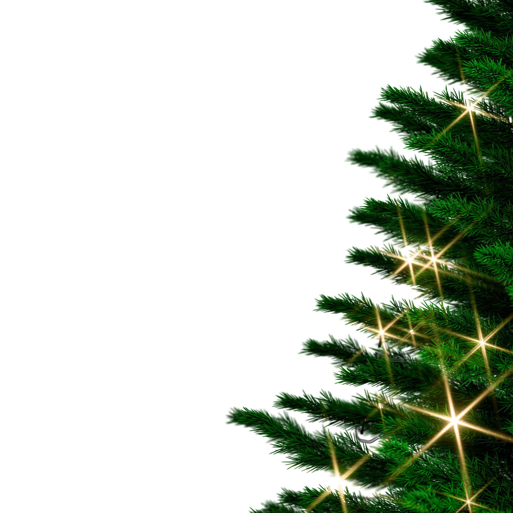 CASARIA® Weihnachtsbaum künstlich 180cm wie echt Edeltanne Spitzguss Metallständer Aufbauschneller Weihnachten Tannenbaum Christbaum Grün 780 Spitzen