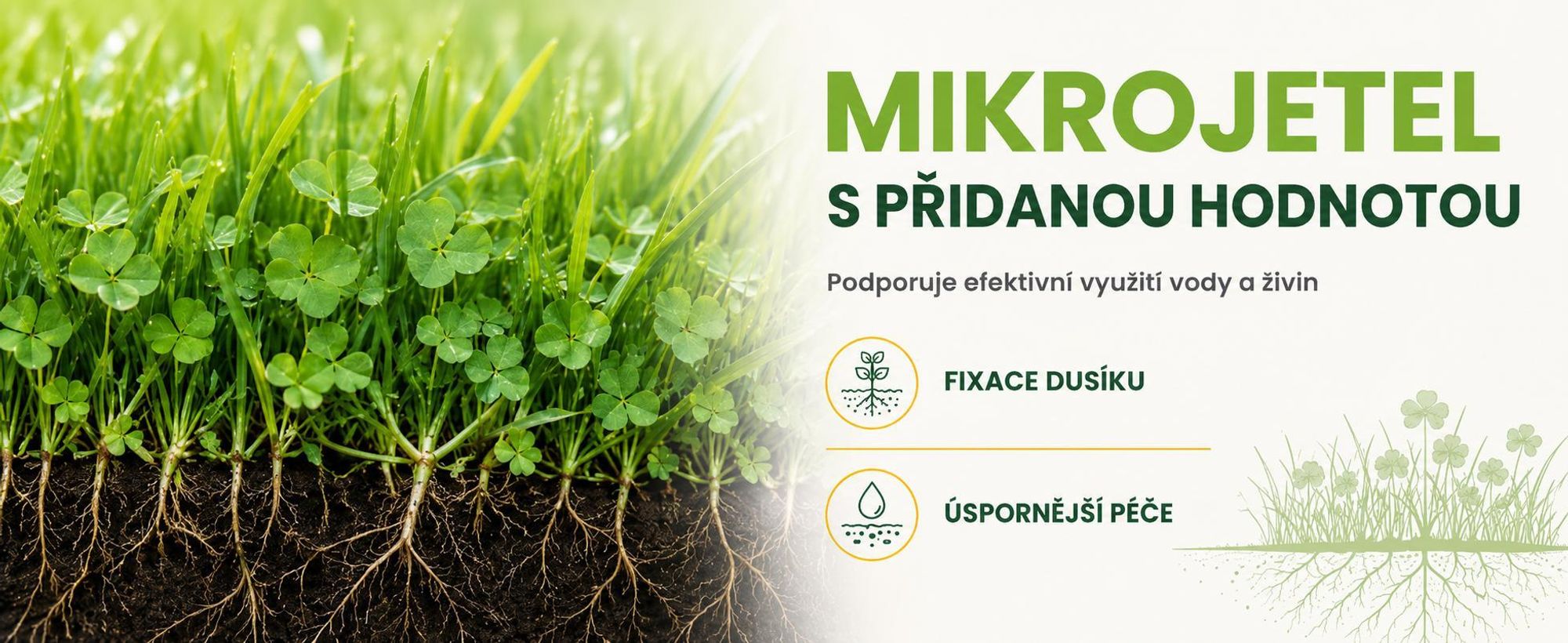 EcoDeco univerzální travní směs s mikrojetelí, odolná proti sešlapání, 25 kg pro 1000 m²