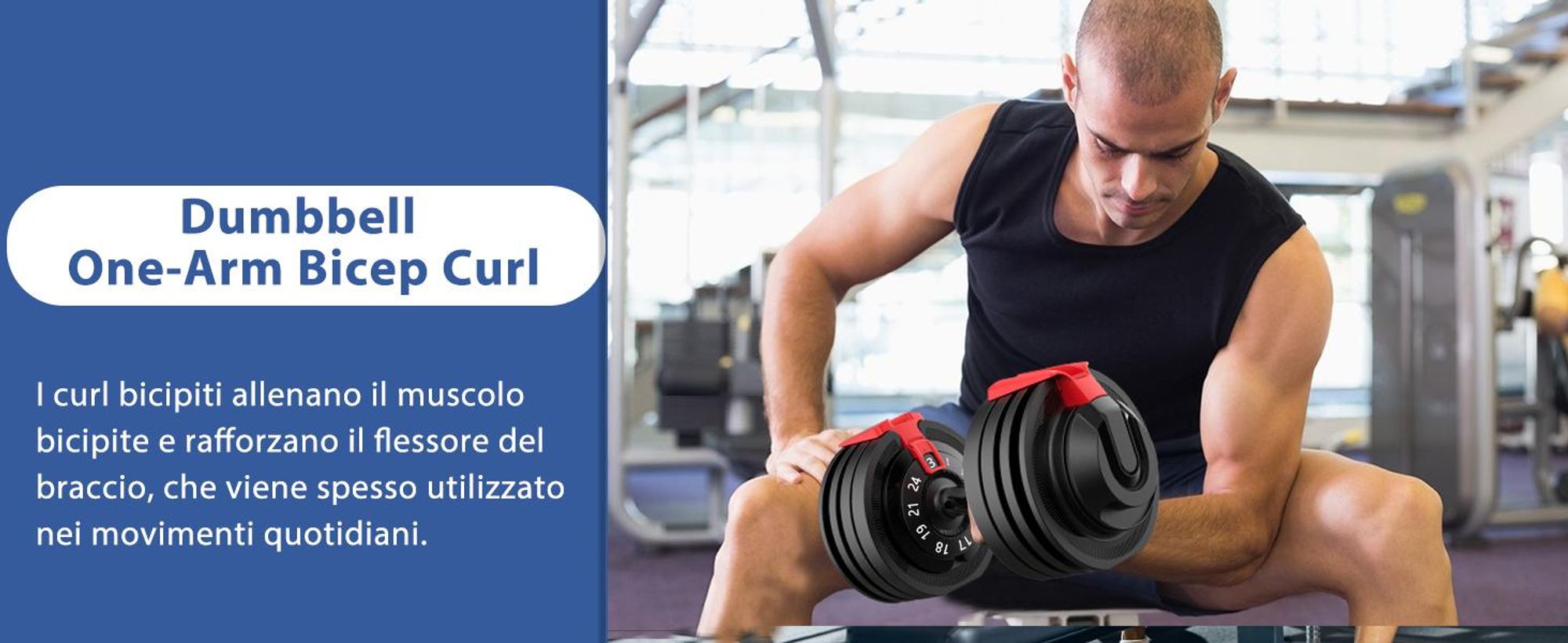 DH FitLife Manubrio Regolabile 3-24 kg con 12 Livelli di Peso, Pesi Variabili 12 in 1, Manubrio Corto Regolabile per Allenamento Casa