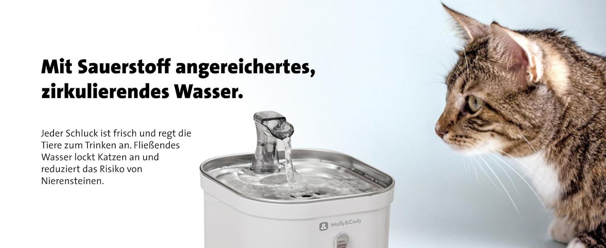 Molly&Cody Spring Trinkbrunnen 2L Haustier Wasserspender Automatischer Trinkbrunnen Trinknapf für Katzen & Hunde
