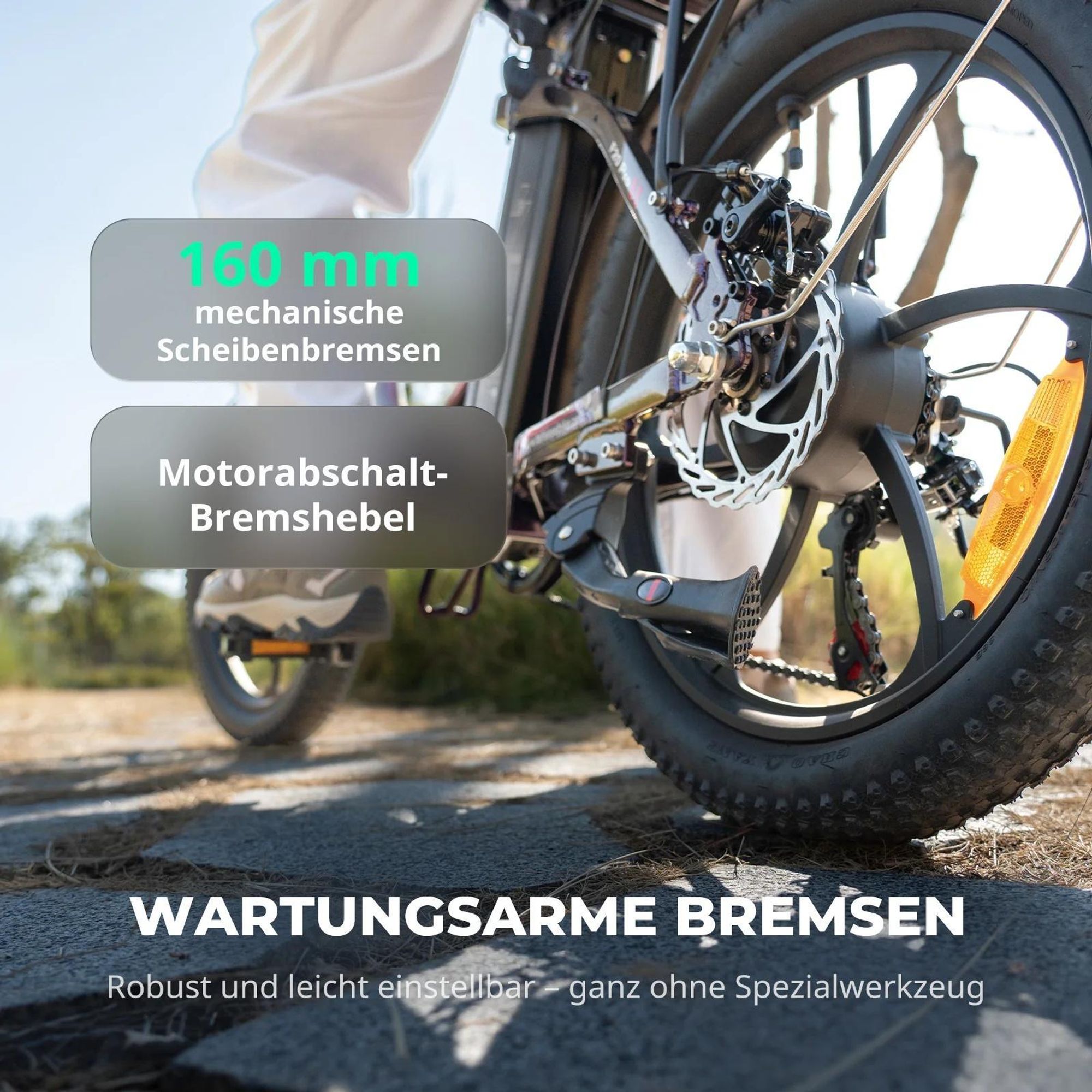 E-Bike FAFREES F20 Pro - Motor 250W Batterie 36V20Ah 20 Zoll Reifen Mechanische Scheibenbremsen - Aurorablau