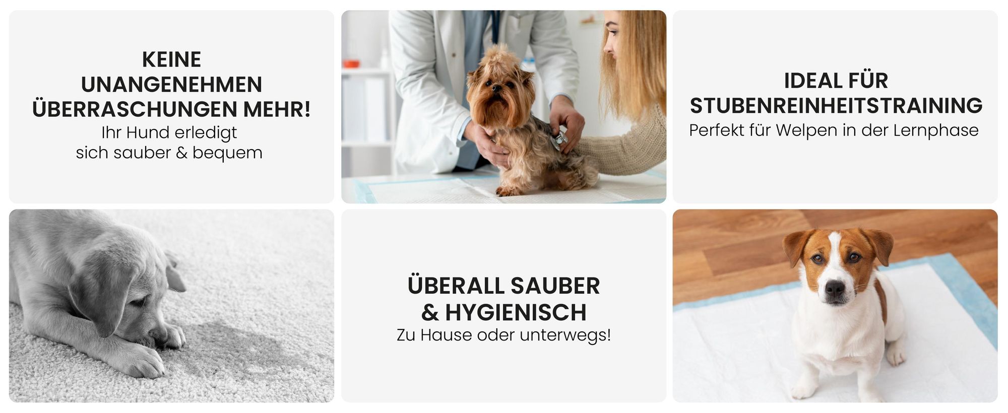 RAGI Welpenunterlagen Trainingspads für Hunde, 50 Stück, Welpen, PIPI Matten Saugfähig, Auslaufsicher, Inkontinenz Trainingsunterlagen, 60x90cm