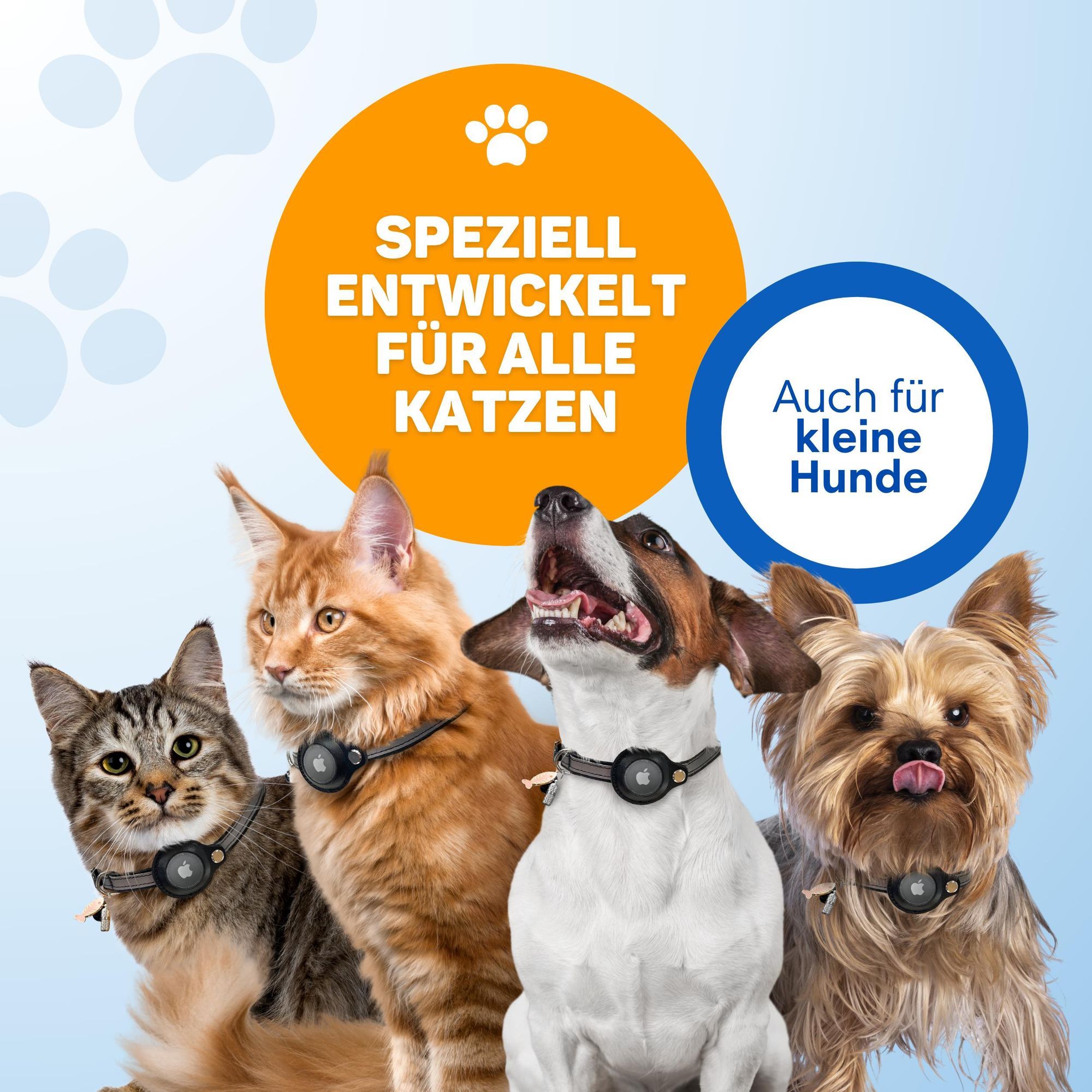 Vulpes Goods Katzenhalsband, Apple Airtag Halsband für Katzen, Kratzerfest und wasserdicht, Mit 3x Zubehör, 23.5-30.5 CM, S