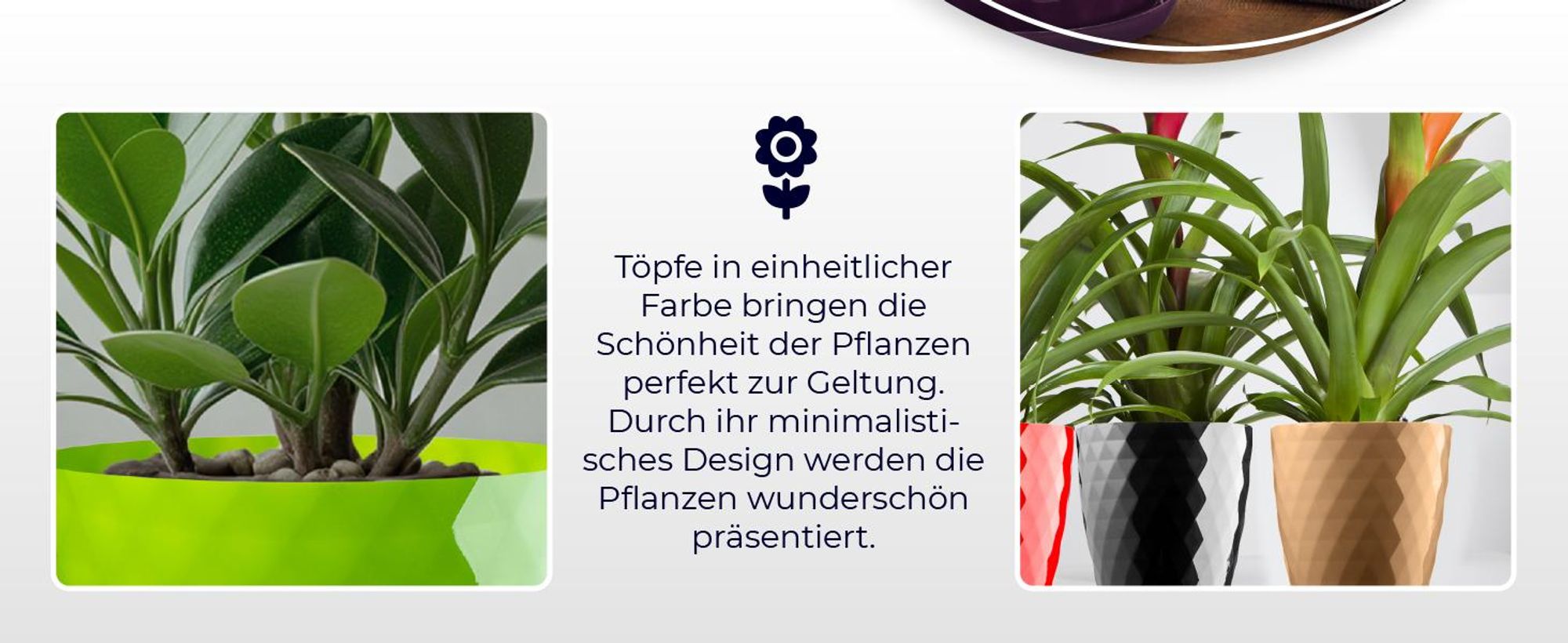 KADAX Blumentopf aus Kunstsoff "Amily", Topf mit Untersetzer. Pflanzkübel, 12 cm, Pflaume, 1 Stück