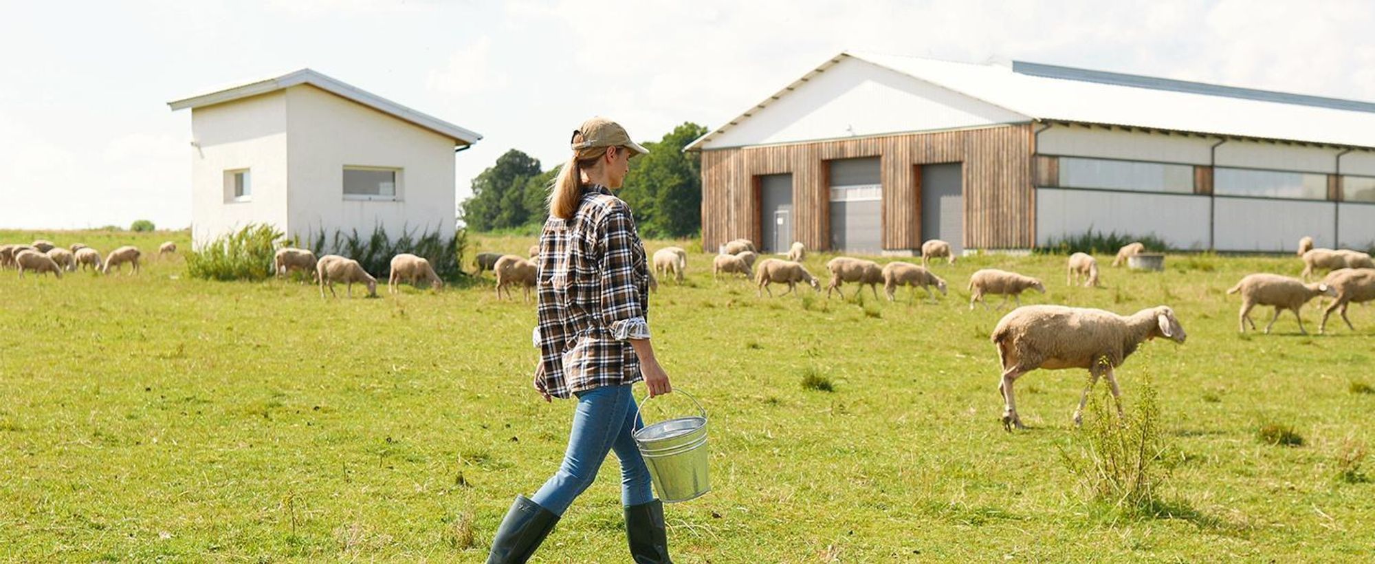 Ermöglicht die Überwachung der Farm und verhindert das Eindringen von Wildtieren oder Fremden.
