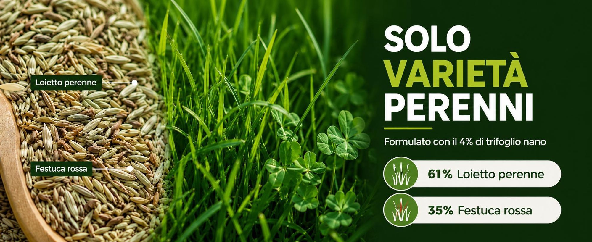 EcoDeco semi per prato, miscela con microtrifoglio, semi prato 5 kg, per prato ornamentale e giardino domestico