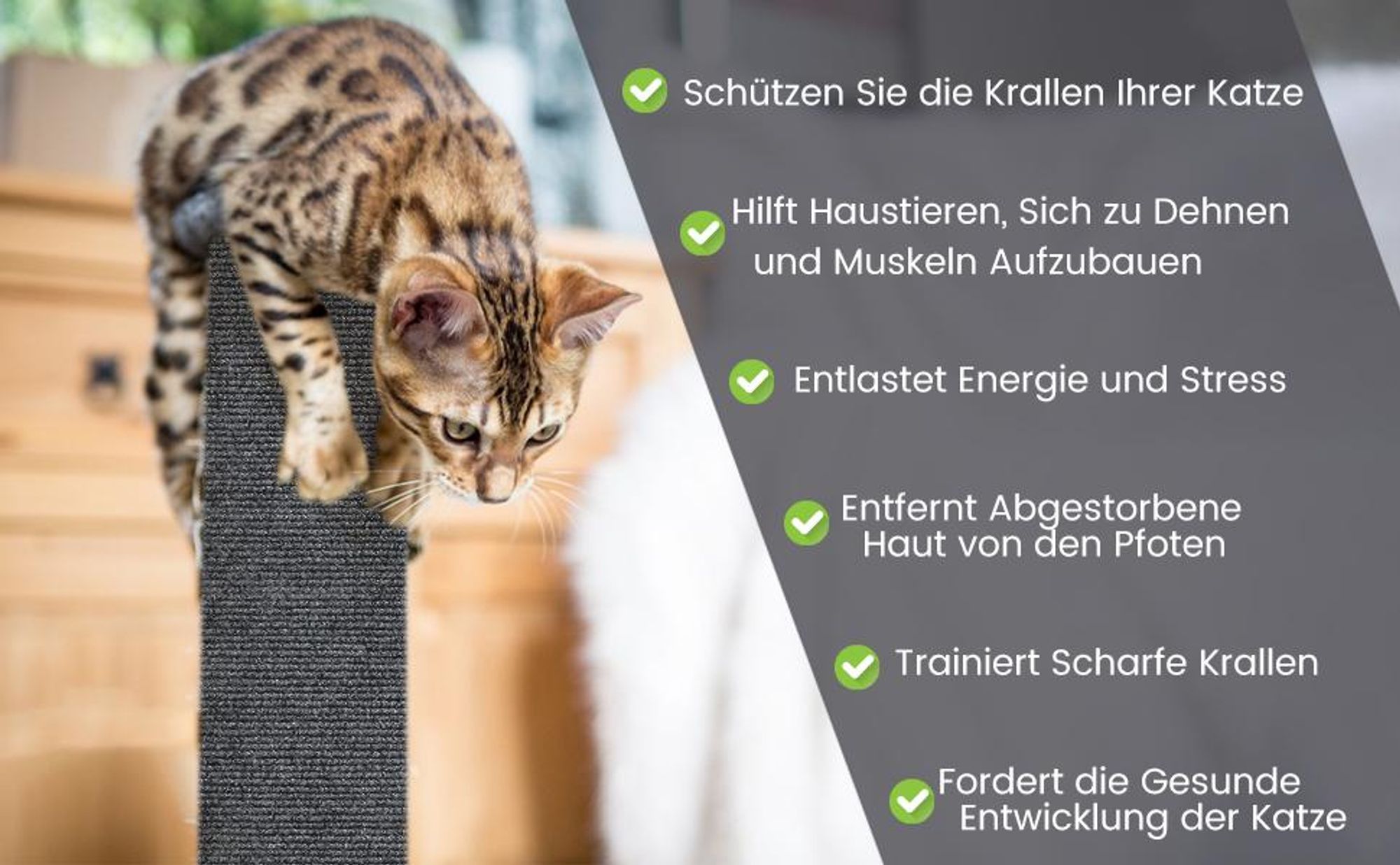 Katze Kratzschutz Matte, Kratzmatte, Kratzbrett Katze, Kratzschutz Sofa Katze, Katzenkratzmatte, DIY Selbstklebend, für Wände, Sofas, Böden