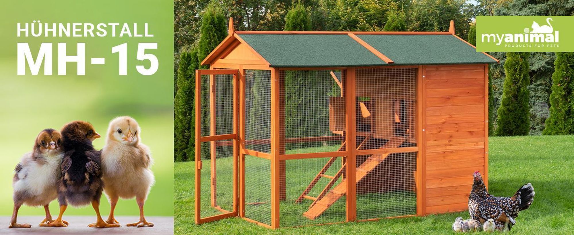 MyAnimal XXL Hühnerstall MH-15 | Bis zu 7 Hühner - Aufklappbarer Nistkasten - Auslauf - Zwei Etagen - Hühnergehege - Freigehege - Sitzstange (Grau)
