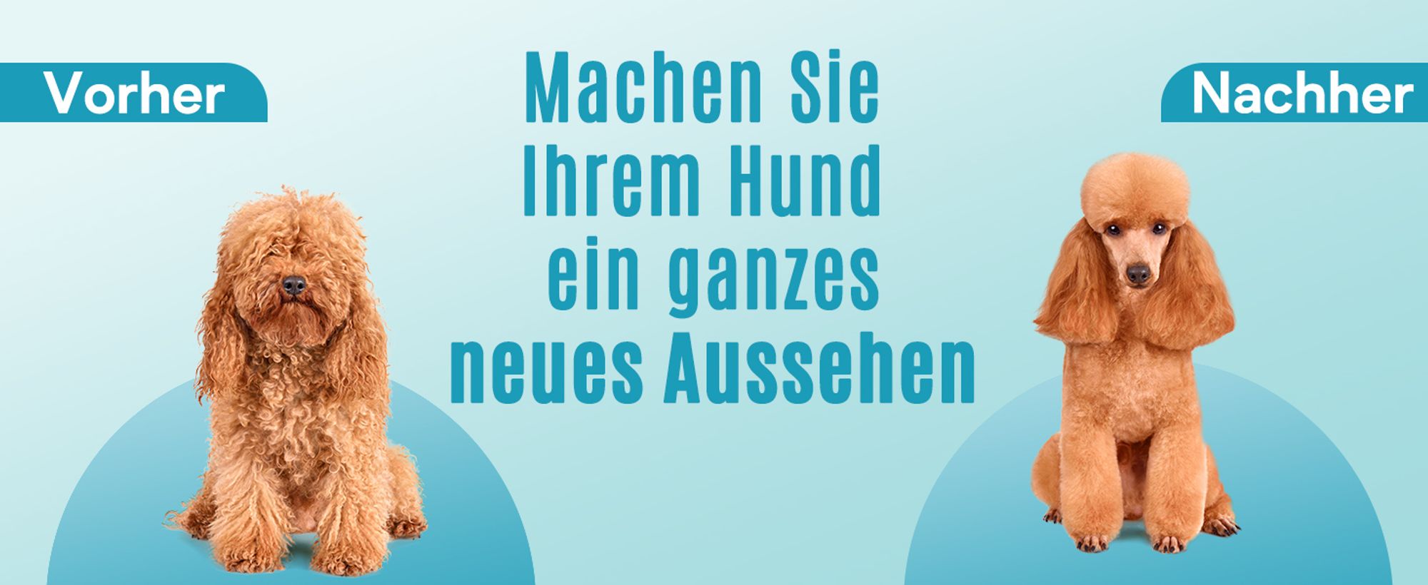 Oneisall Leise Hundeschermaschine, Profi Schermaschine Hund Katze mit 6 Aufsätze