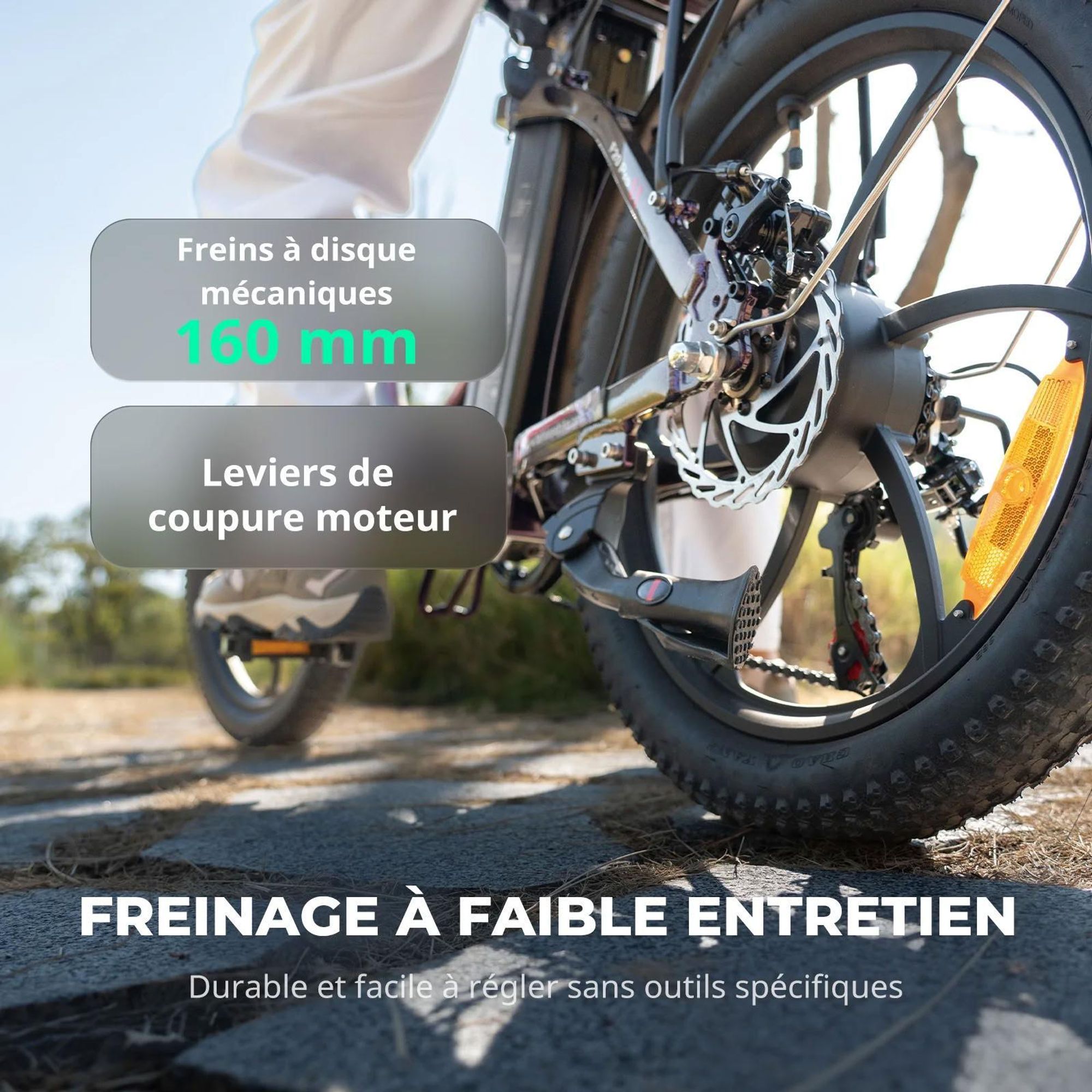 Vélo Électrique FAFREES F20 Pro - Moteur 250W Batterie 36V20Ah 20'' Pneus Freins À Disque Mécaniques - Bleu Aurore