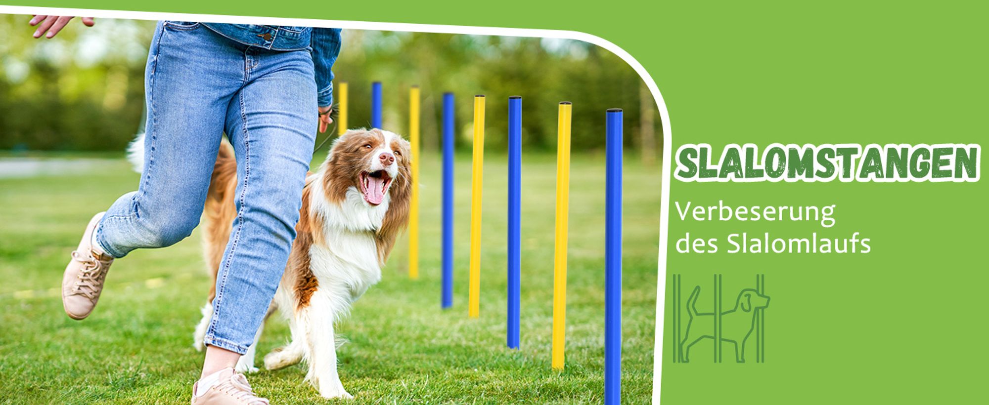 Pawhut Hunde Agility Slalom Übung Hundesport Training Reifen Hürde Set 2 Modelle